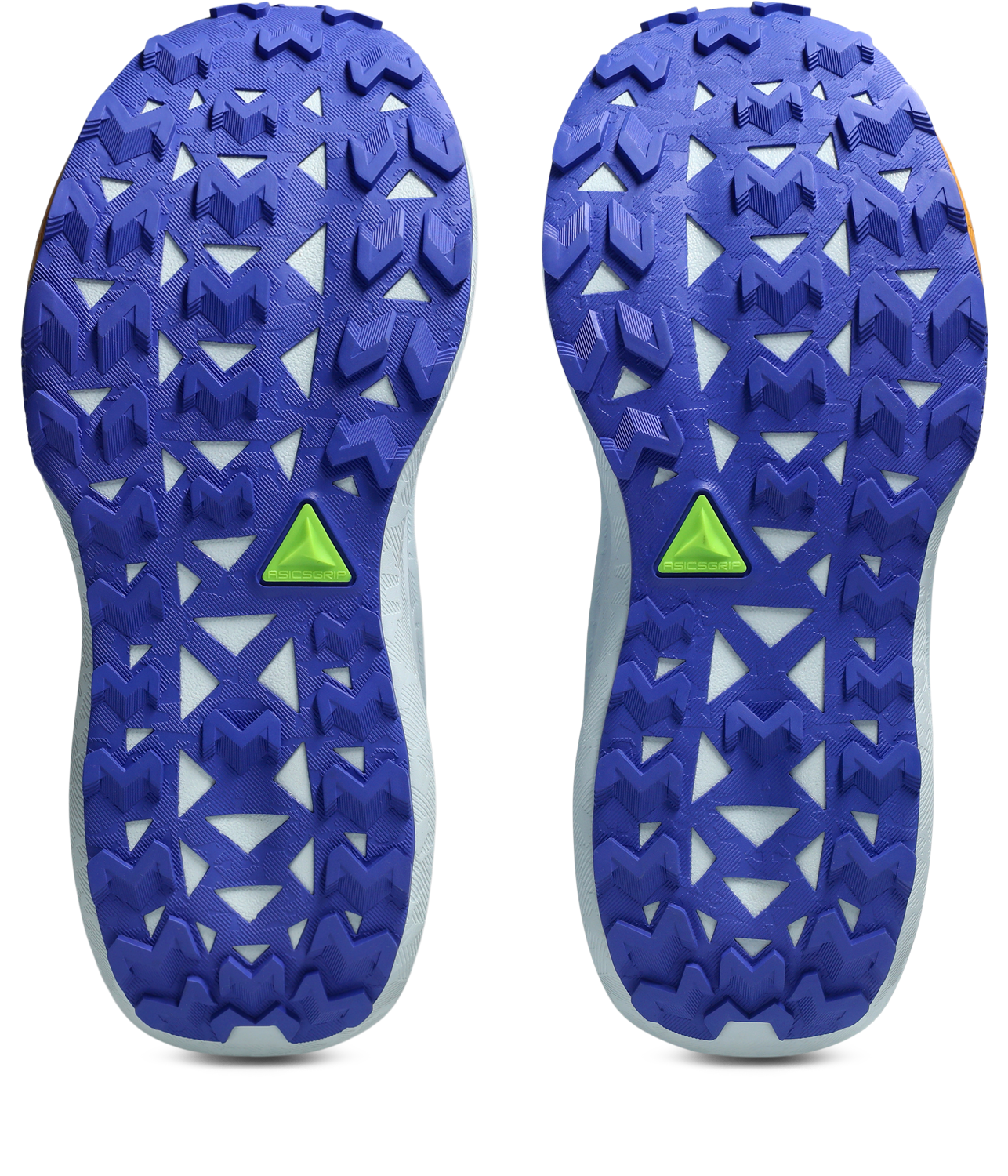 Asics Trailrunningschuh »TRABUCO MAX 5«