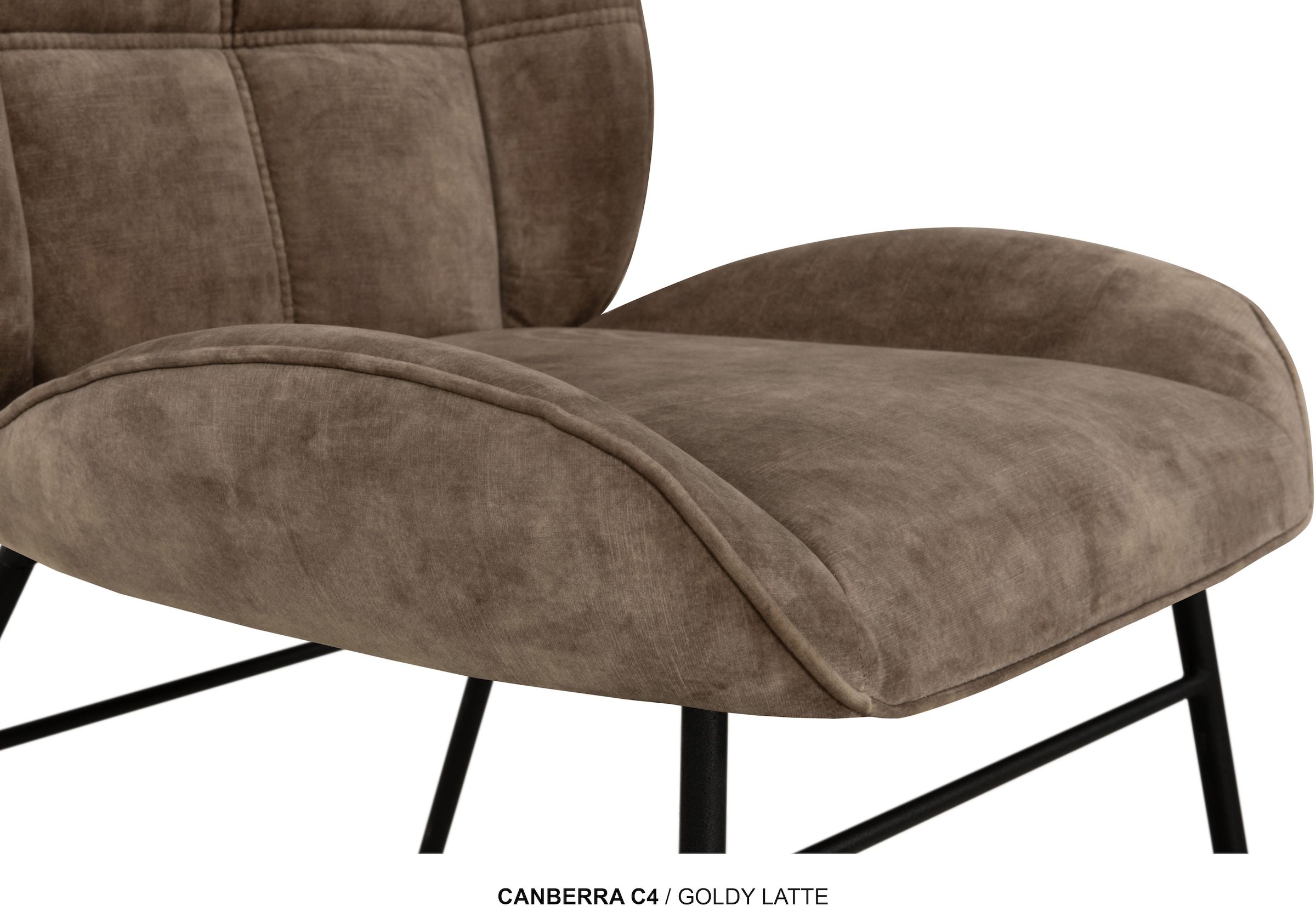 OMG Design Esszimmerstuhl »Canberra« (Set) 1 Stk.Esszimmerstuhl, pflegeleichter Samtvelour Bezug