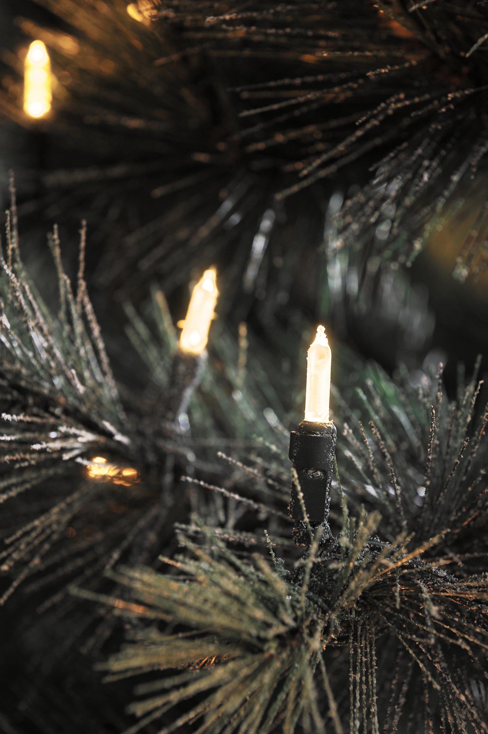 KONSTSMIDE LED-Lichterkette »Weihnachtsdeko aussen«, 40 weiße Dioden Minilichterkette, LED Shop warm OTTO im 40 Online St.-flammig