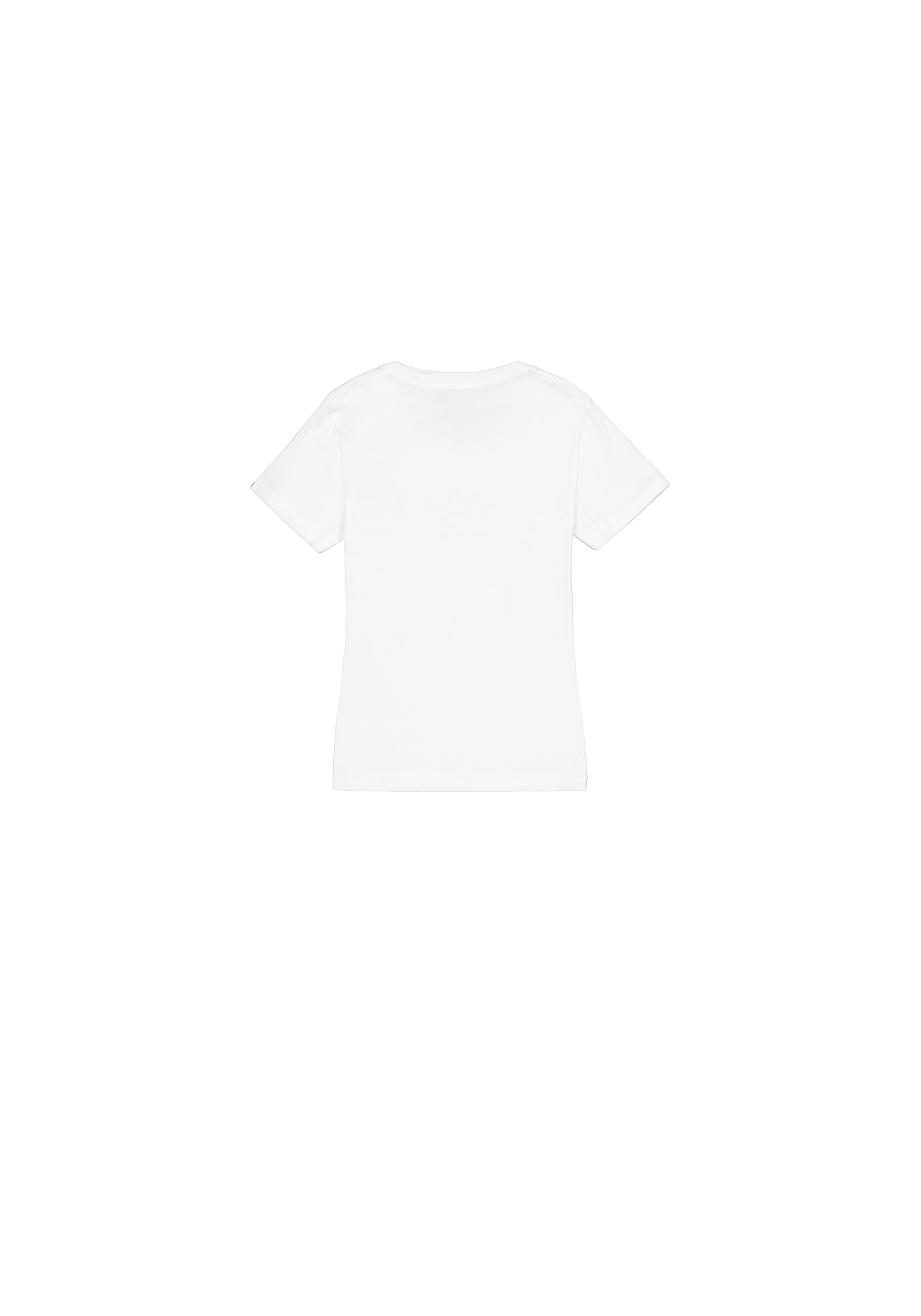 Alpha Industries T-Shirt »Basic T-Shirt SL W«