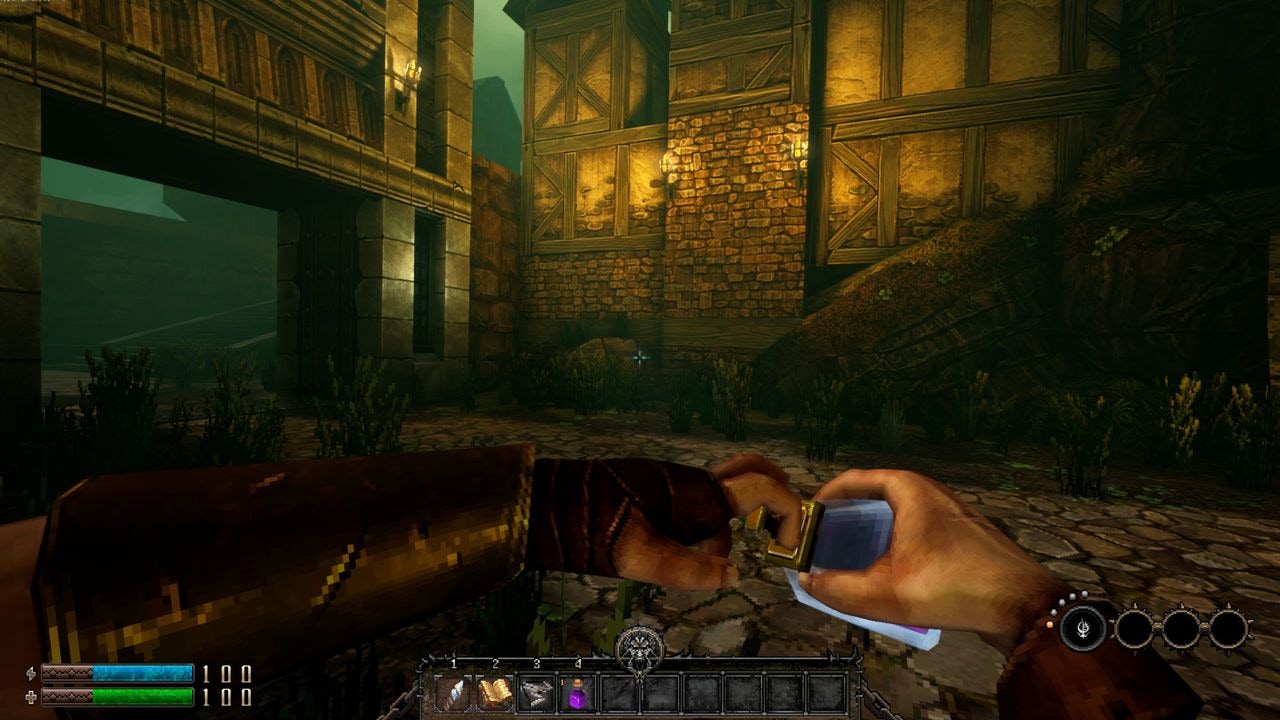 Spielesoftware »Graven«, PlayStation 4