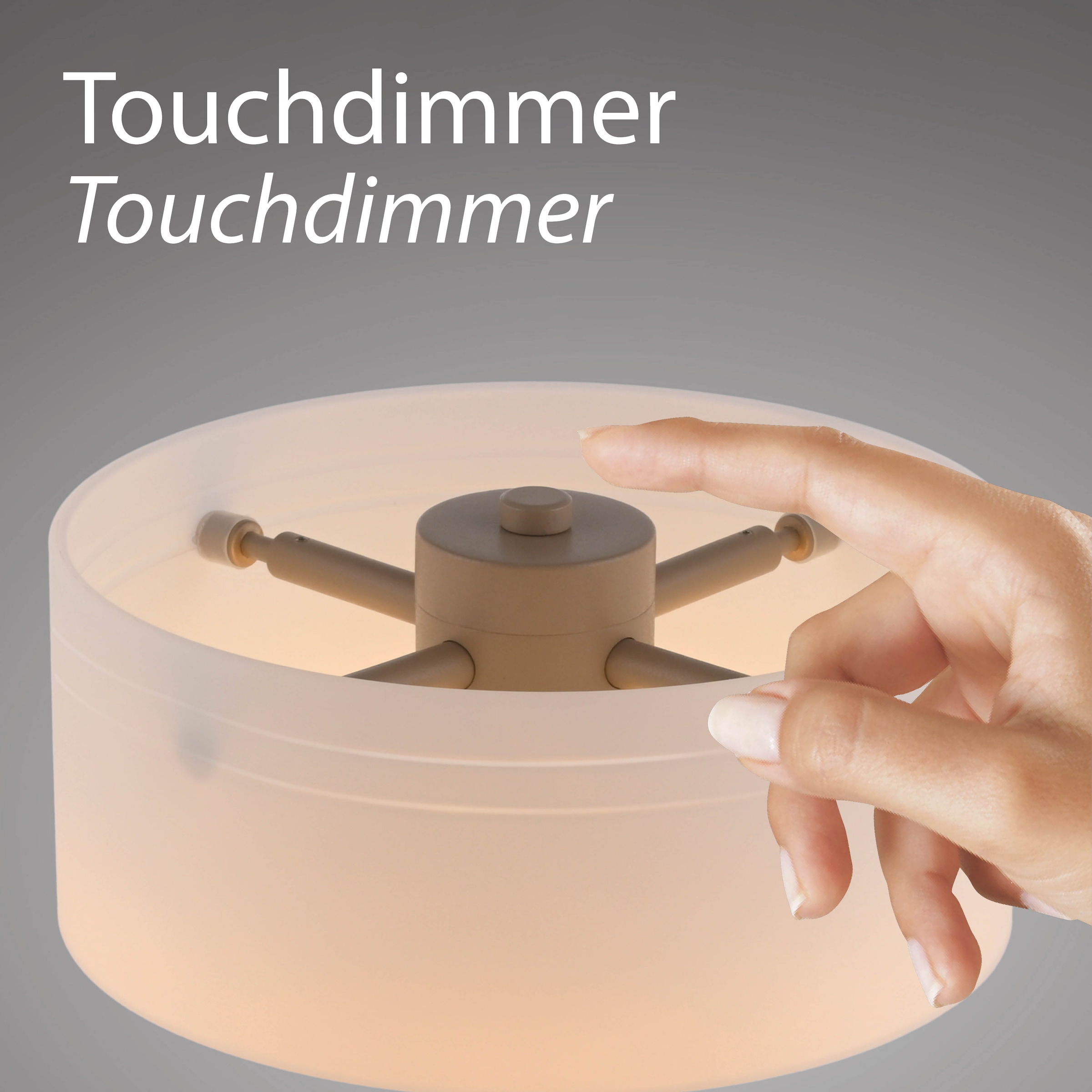 Paul Neuhaus LED Tischleuchte »MARIKA« LED-Board 1 Stk. Warmweiß Touchdimmer, Memoryfunktion