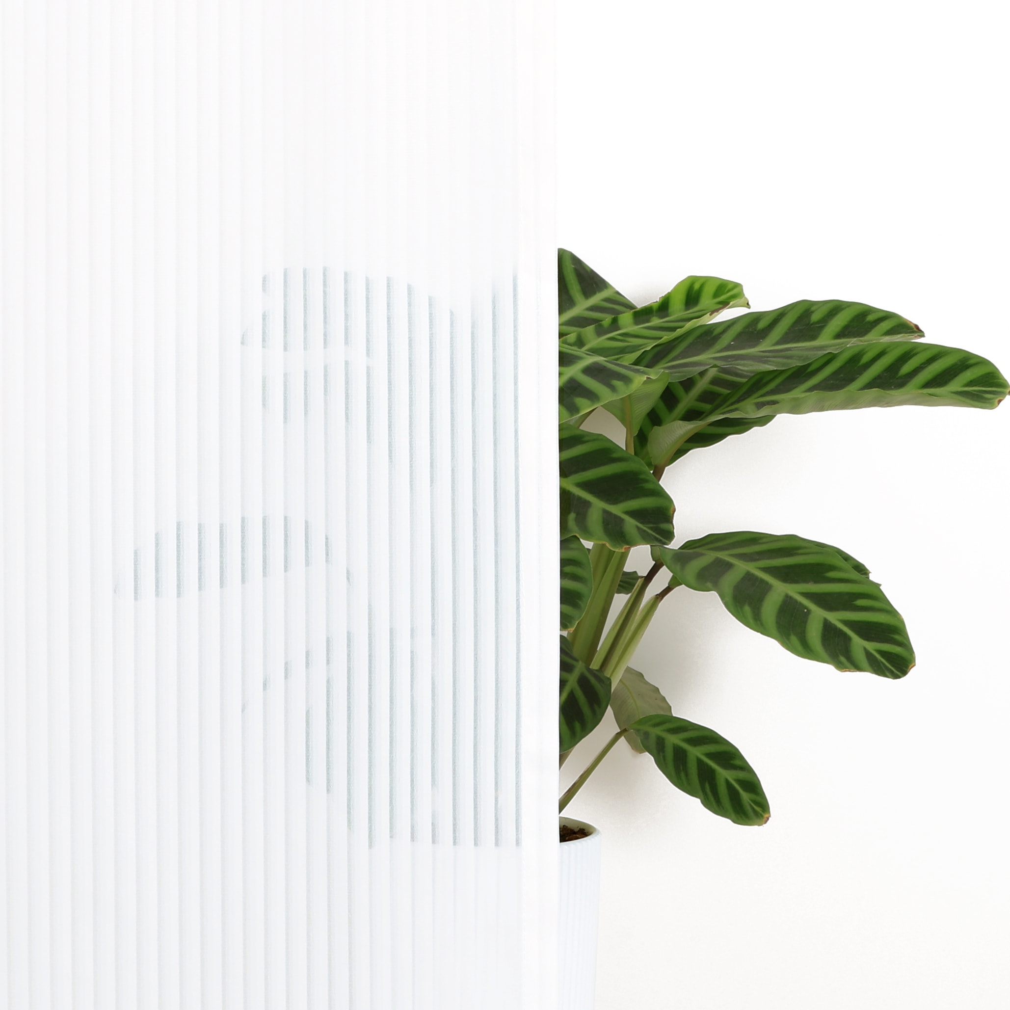my home Gardine »Mazi«, (1 St.), 1 Schal, mit eingewebten Längsstreifen