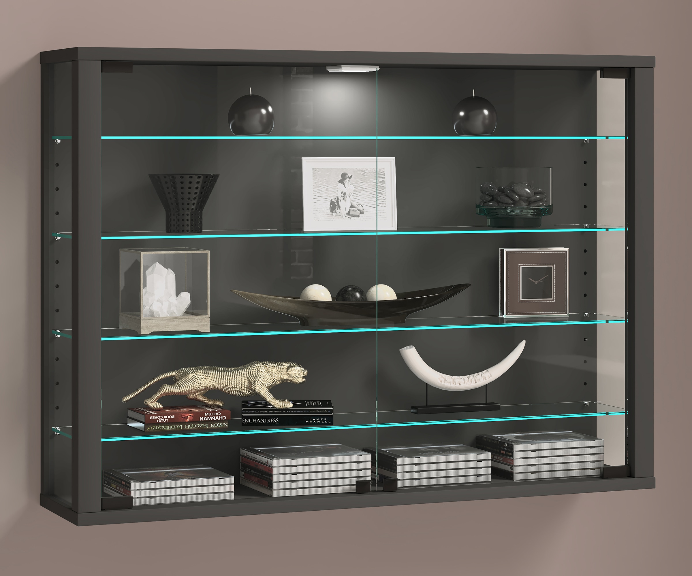 VCM Wandregal »Wandvitrine Hängevitrine Glasvitrine Vitrosa L«