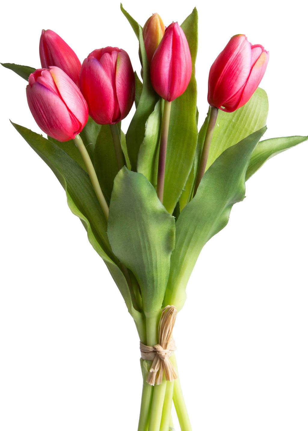 »Willa«, im 7er-Set Kunstblume Online bestellen OTTO Tulpenbündel im Botanic-Haus Shop