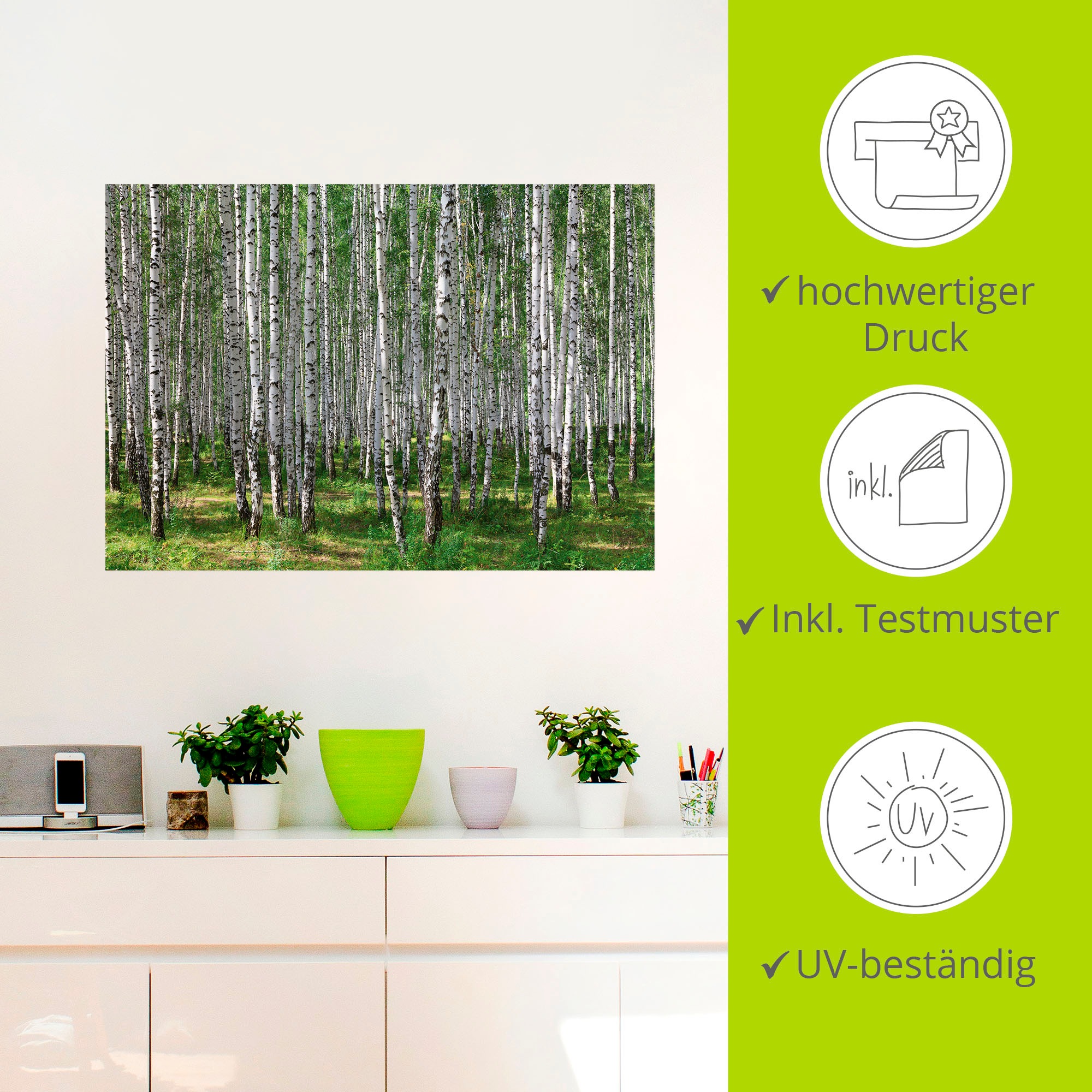 Artland Wandbild »Birkenwald«, Wald, (1 St.), als Poster, Wandaufkleber in verschied. Größen