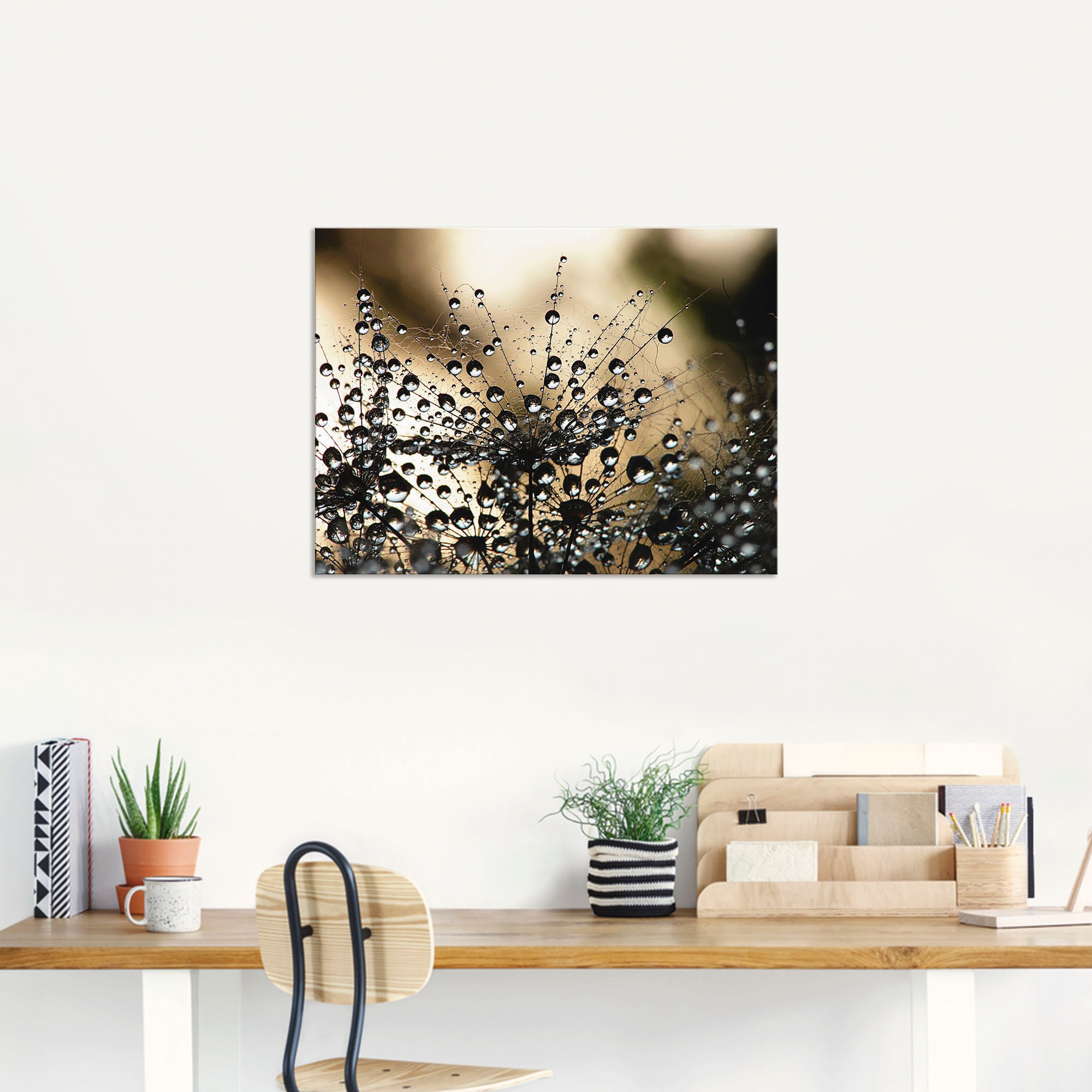 Artland Wandbild »Nasser Löwenzahn« Blumen 1 Stk. tlg. als Alubild, Leinwandbild in verschied. Größen