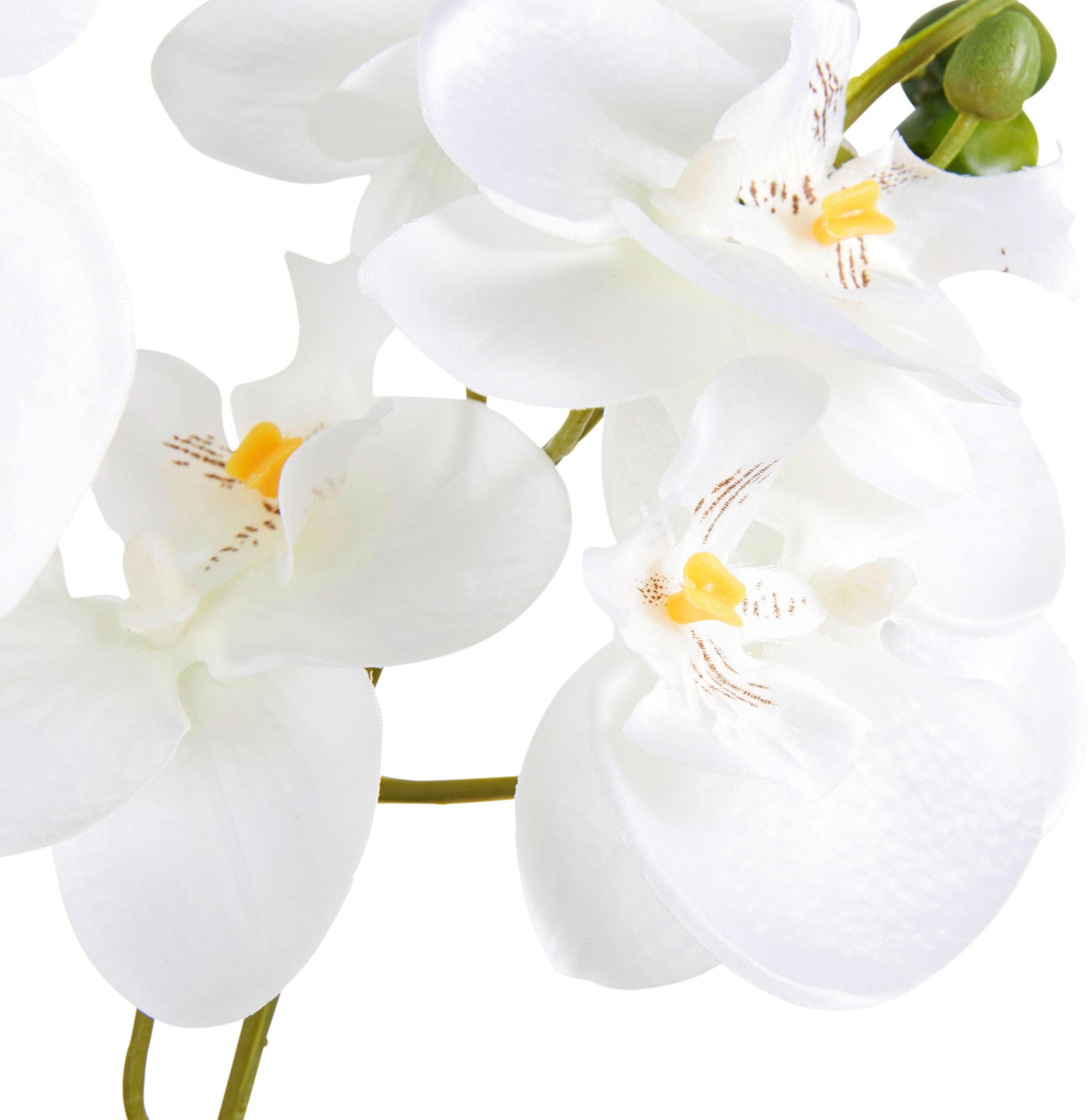 Creativ green Kunstpflanze »Orchidee«