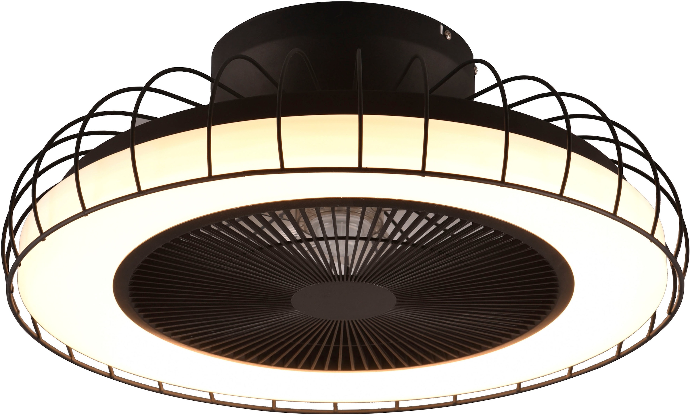 LED Deckenventilator Home, »Sandfjord«, 1 Smart Leuchten einstellbar WiZ OTTO flammig-flammig, bestellen mit Stufen, TRIO Deckenleuchte bei 3 Lichtfarbe