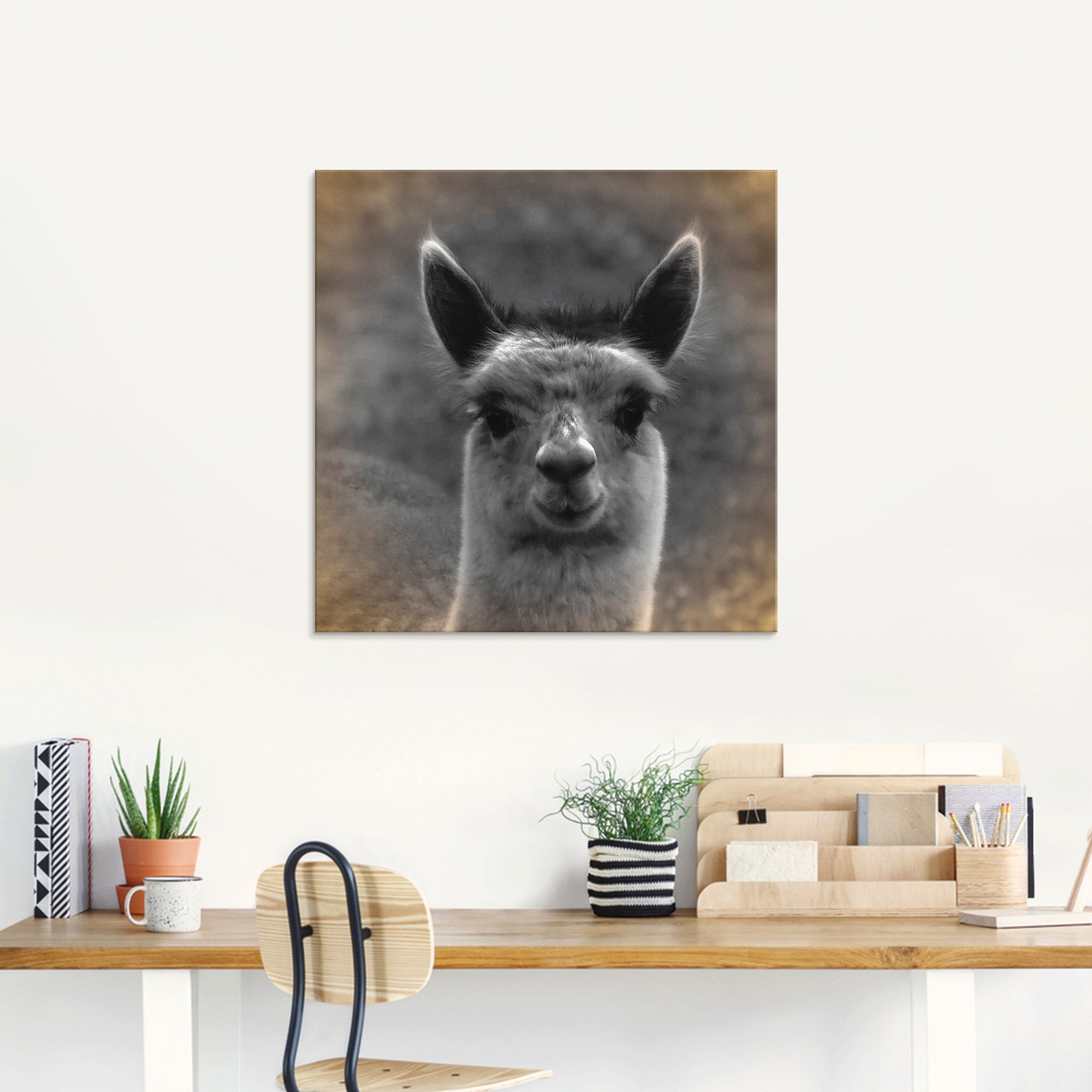 Artland Glasbild »Alpaka Blick«, Wildtiere, verschiedenen St.), kaufen in bei Größen (1 OTTO online
