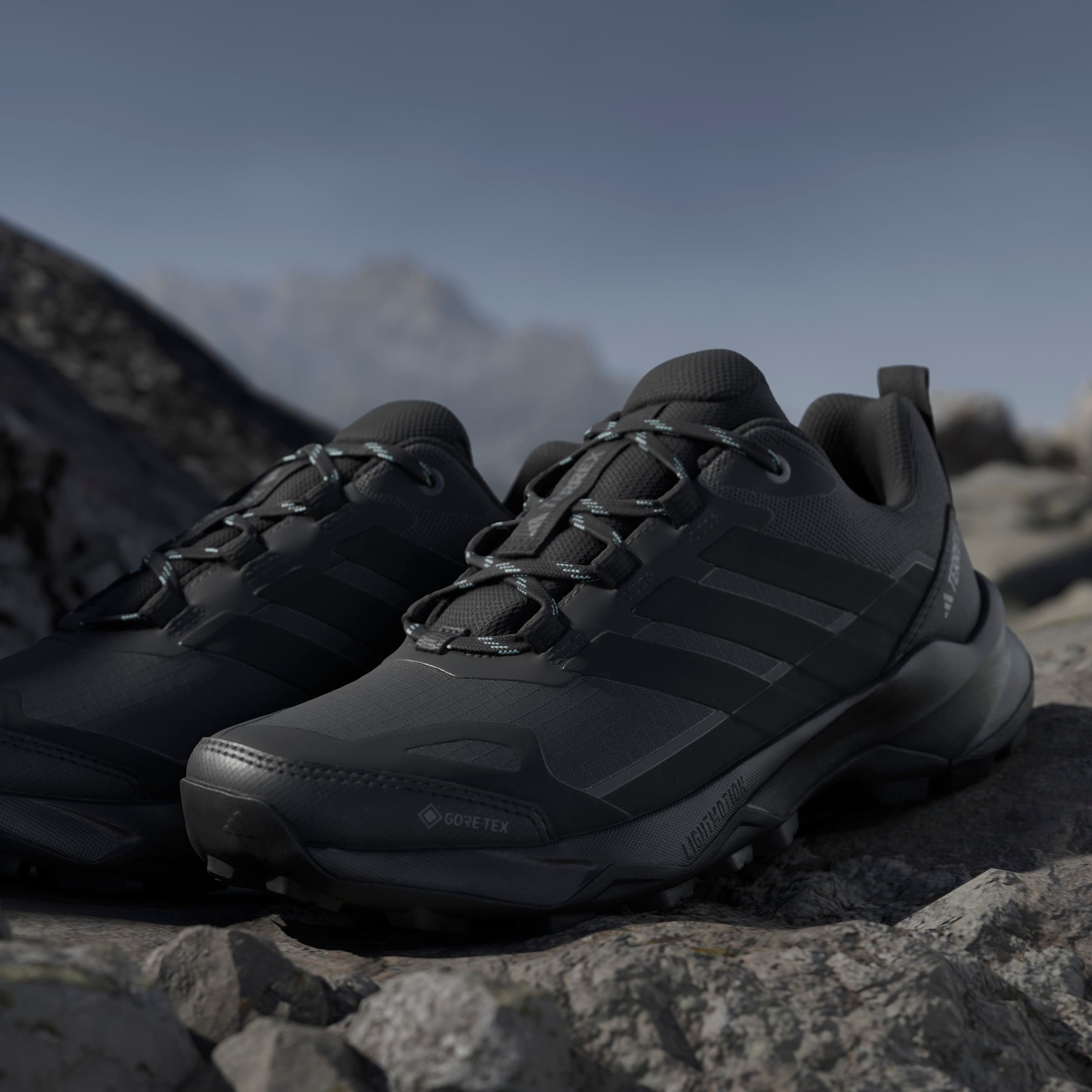 adidas TERREX Wanderschuh »TERREX SKYCHASER AX5 GORE-TEX«  wasserdicht