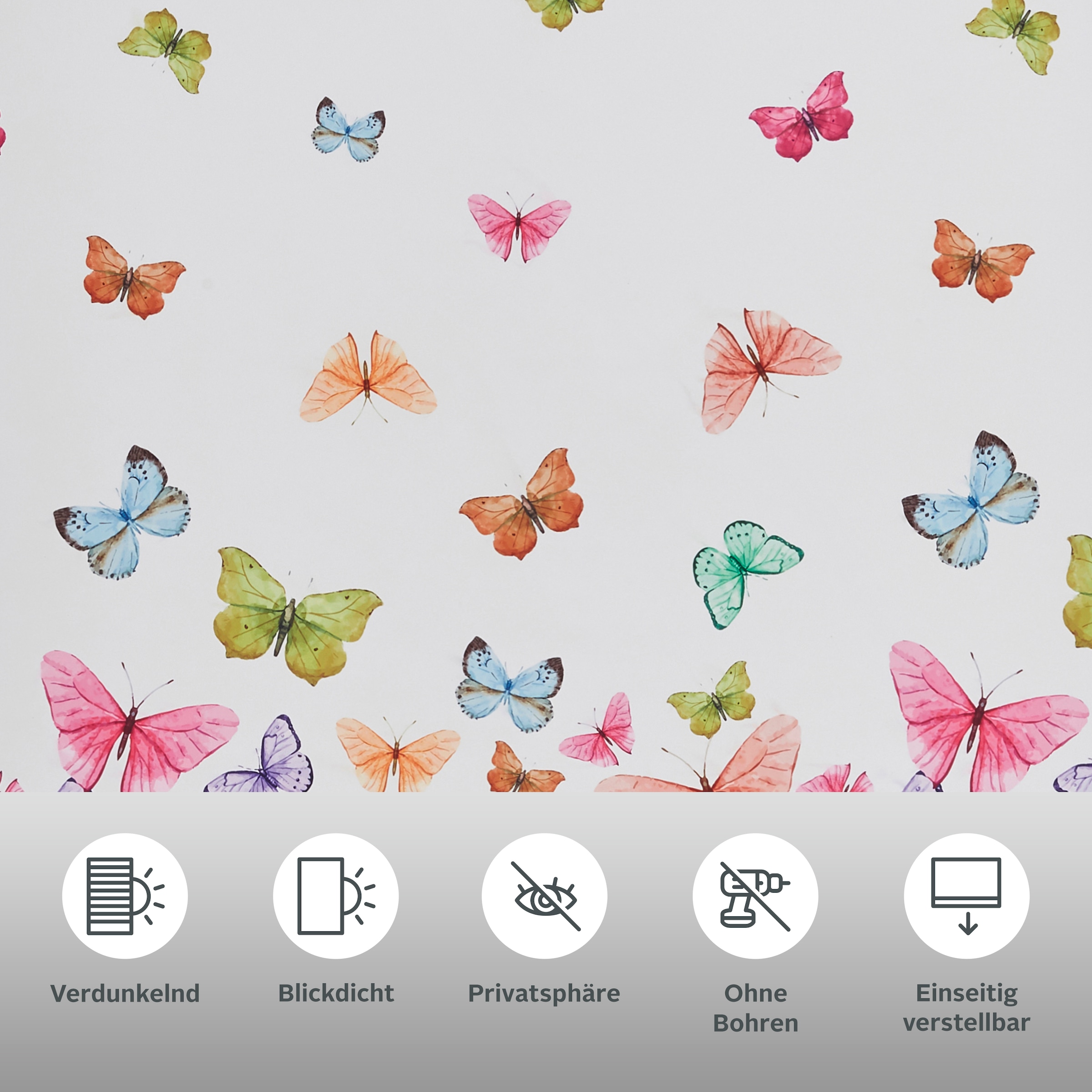 Home affaire Seitenzugrollo »Butterfly«, verdunkelnd, energiesparend, ohne Bohren, freihängend, Hitzeschutz, Schmetterlinge, bunt, bedruckt, Klemmträger