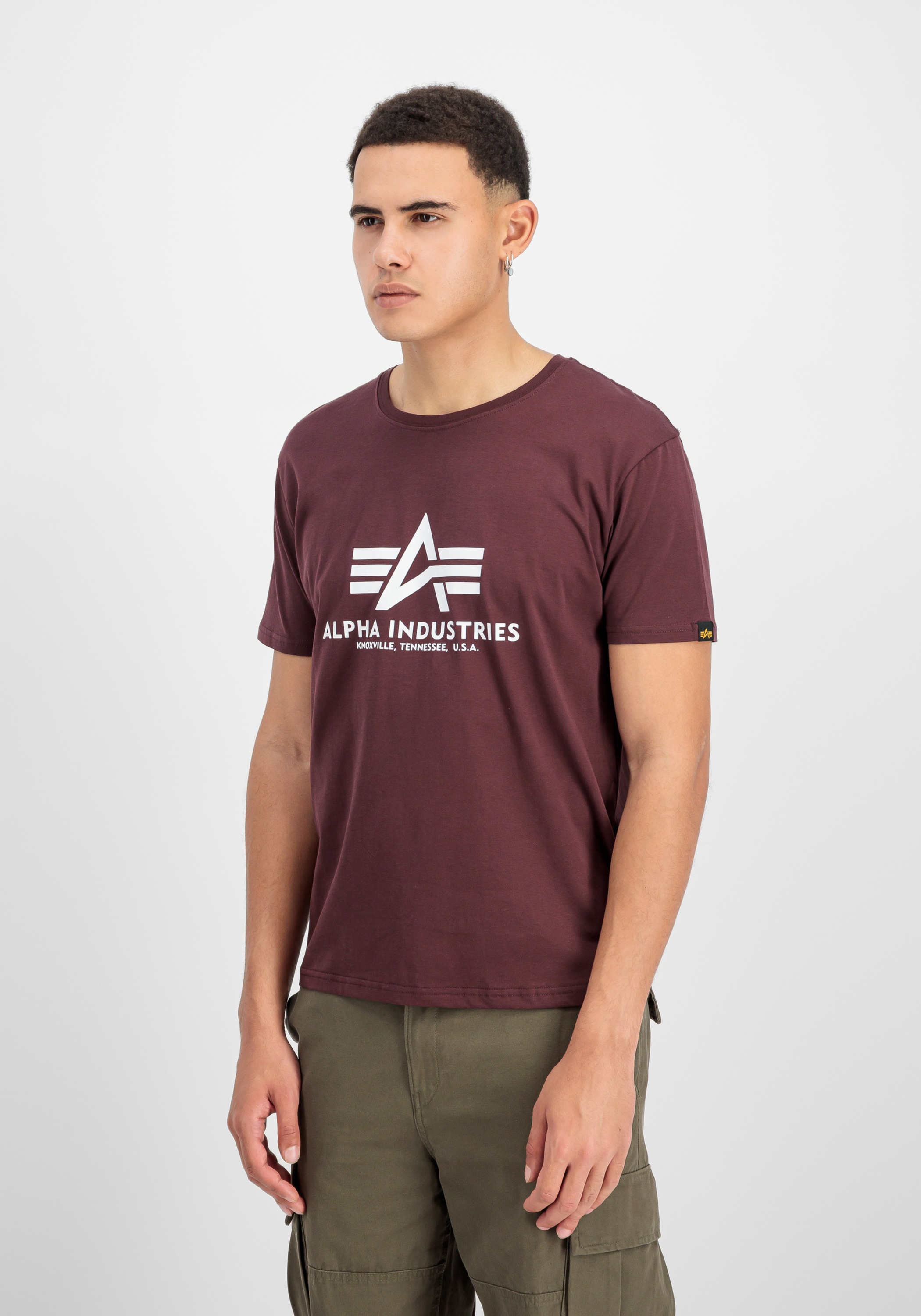 Alpha Industries T-Shirt »Basic T-Shirt BL T-Shirt«