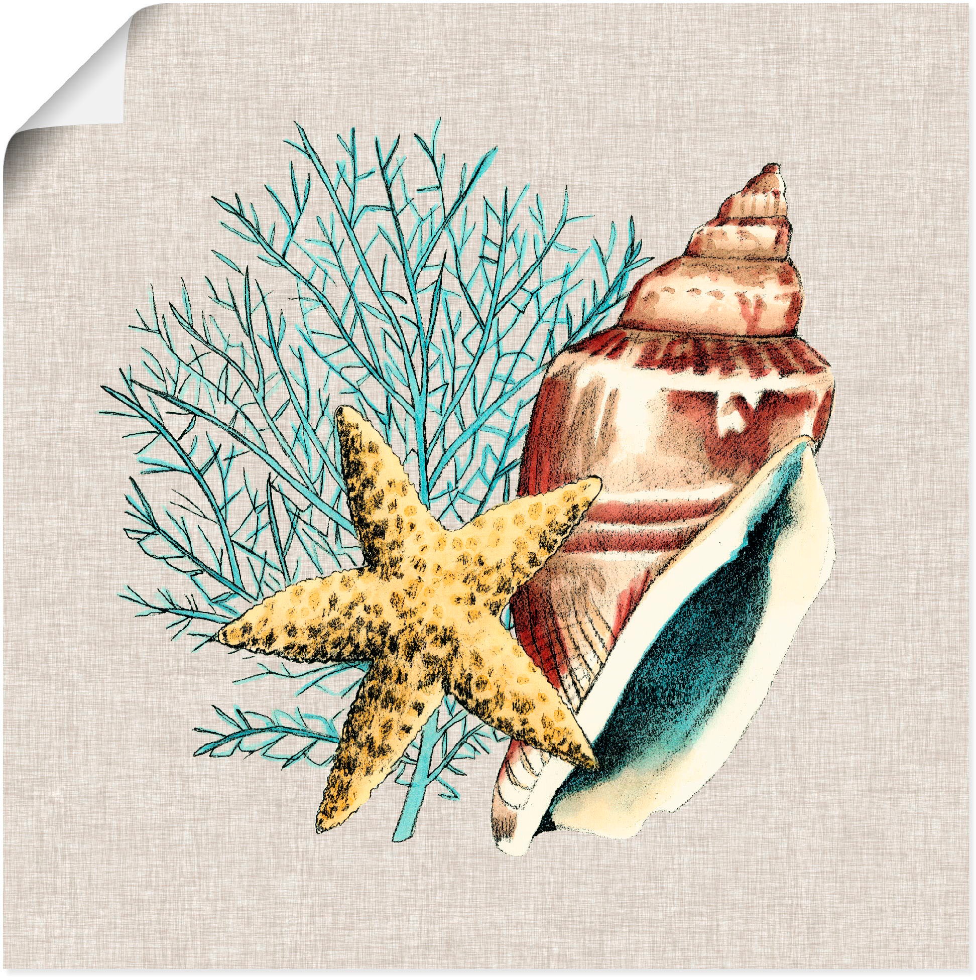 Artland Wandbild »Beim Strand IV«, Wassertiere, (1 St.), in vielen Größen & Produktarten - Alubild / Outdoorbild für den Außenbereich, Leinwandbild, Poster, Wandaufkleber / Wandtattoo auch für Badezimmer geeignet