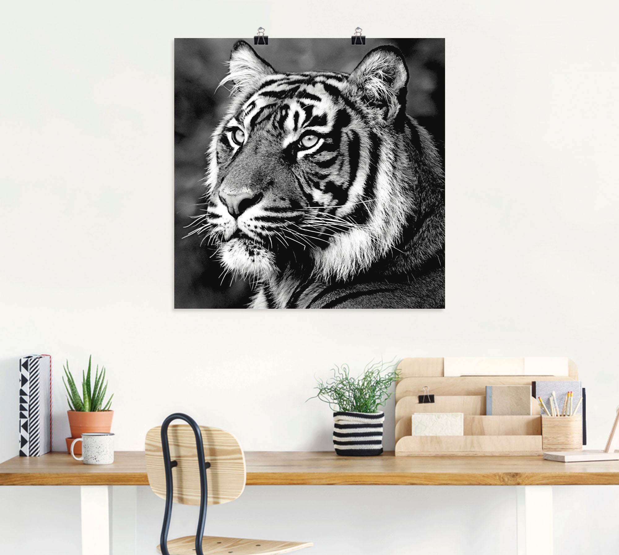 Artland Wandbild »Tiger«, Wildtiere, (1 Wandaufkleber im Online St.), oder Poster als Größen in versch. Shop Leinwandbild, OTTO