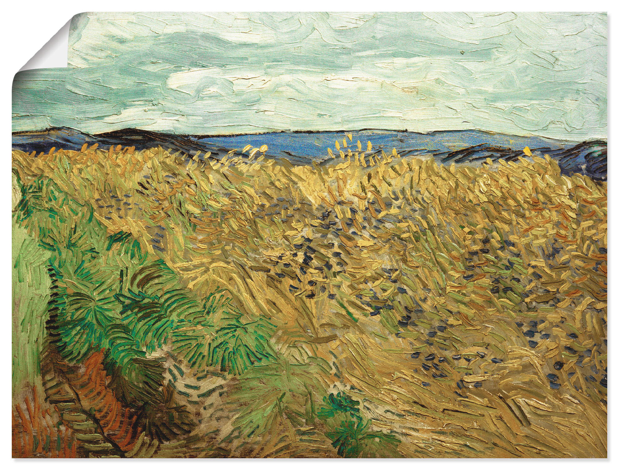 Artland Wandbild »Feld, mit Kornblumen«, Felder, (1 St.), in vielen Größen & Produktarten -Leinwandbild, Poster, Wandaufkleber / Wandtattoo auch für Badezimmer geeignet
