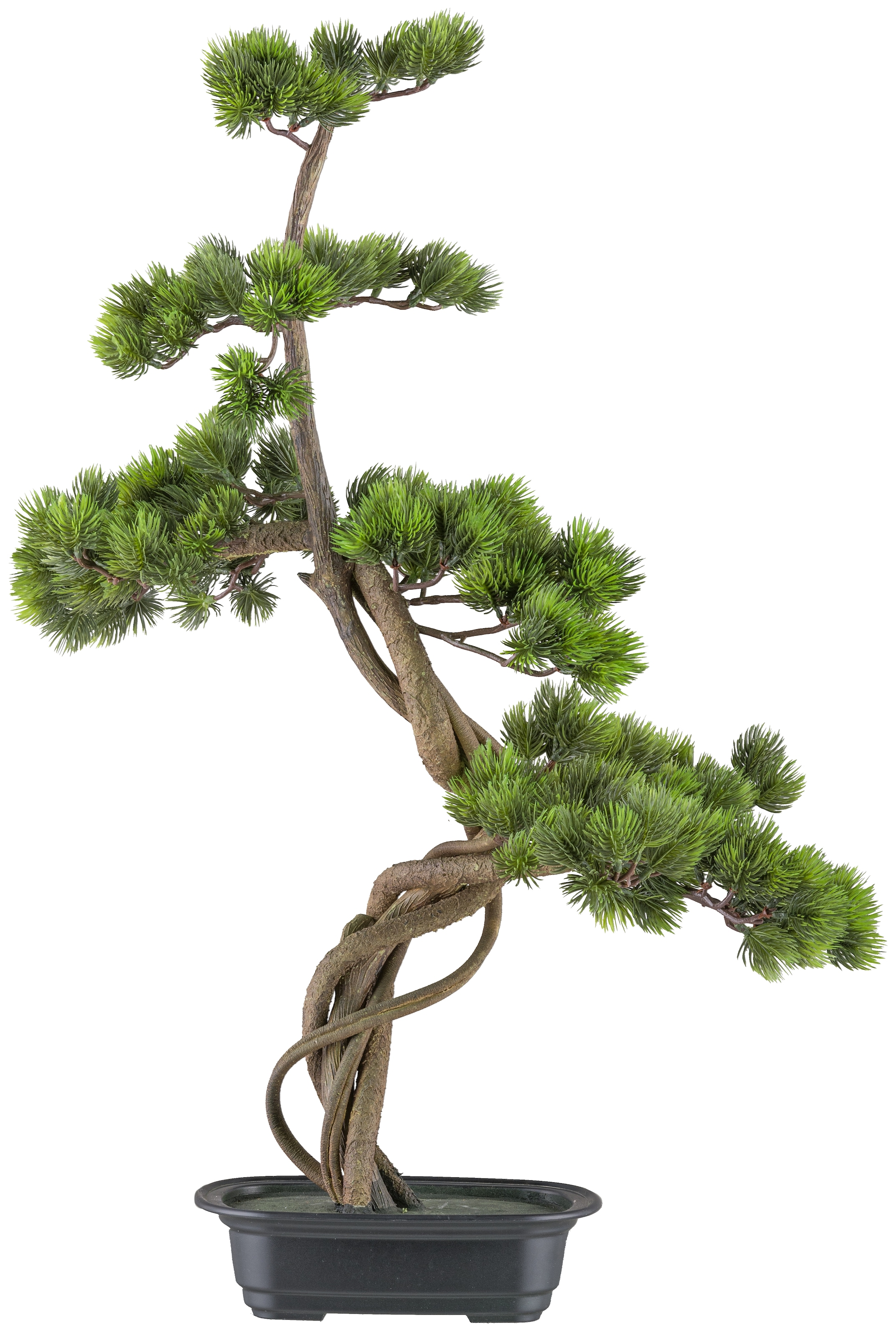 Creativ green Kunstbonsai »Bonsai Kiefer«, mit elegantem Stamm