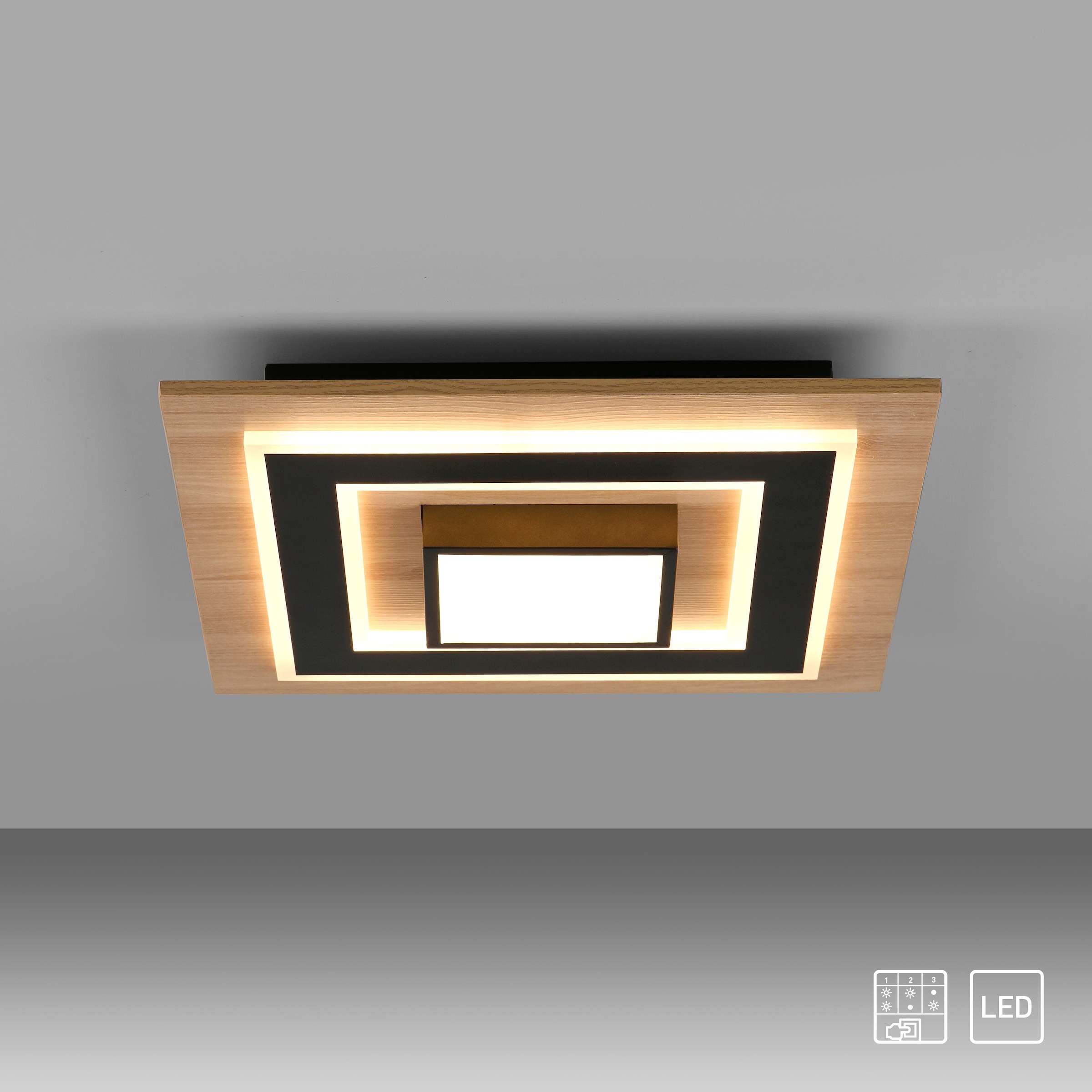 JUST LIGHT Deckenleuchte »TOLA«, 2 flammig, Leuchtmittel LED-Board | LED fest integriert, LED, separat steuerbar (Schalter)