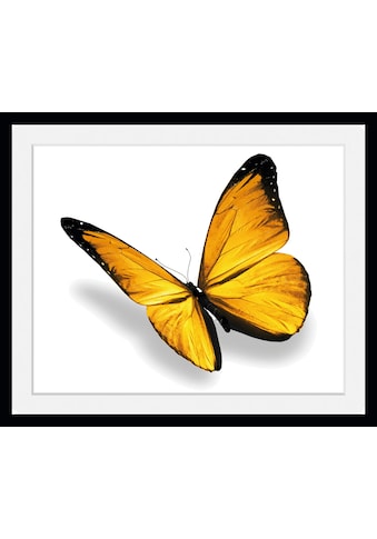 Bild »Maria 3.0«, Schmetterlinge, (1 St.)