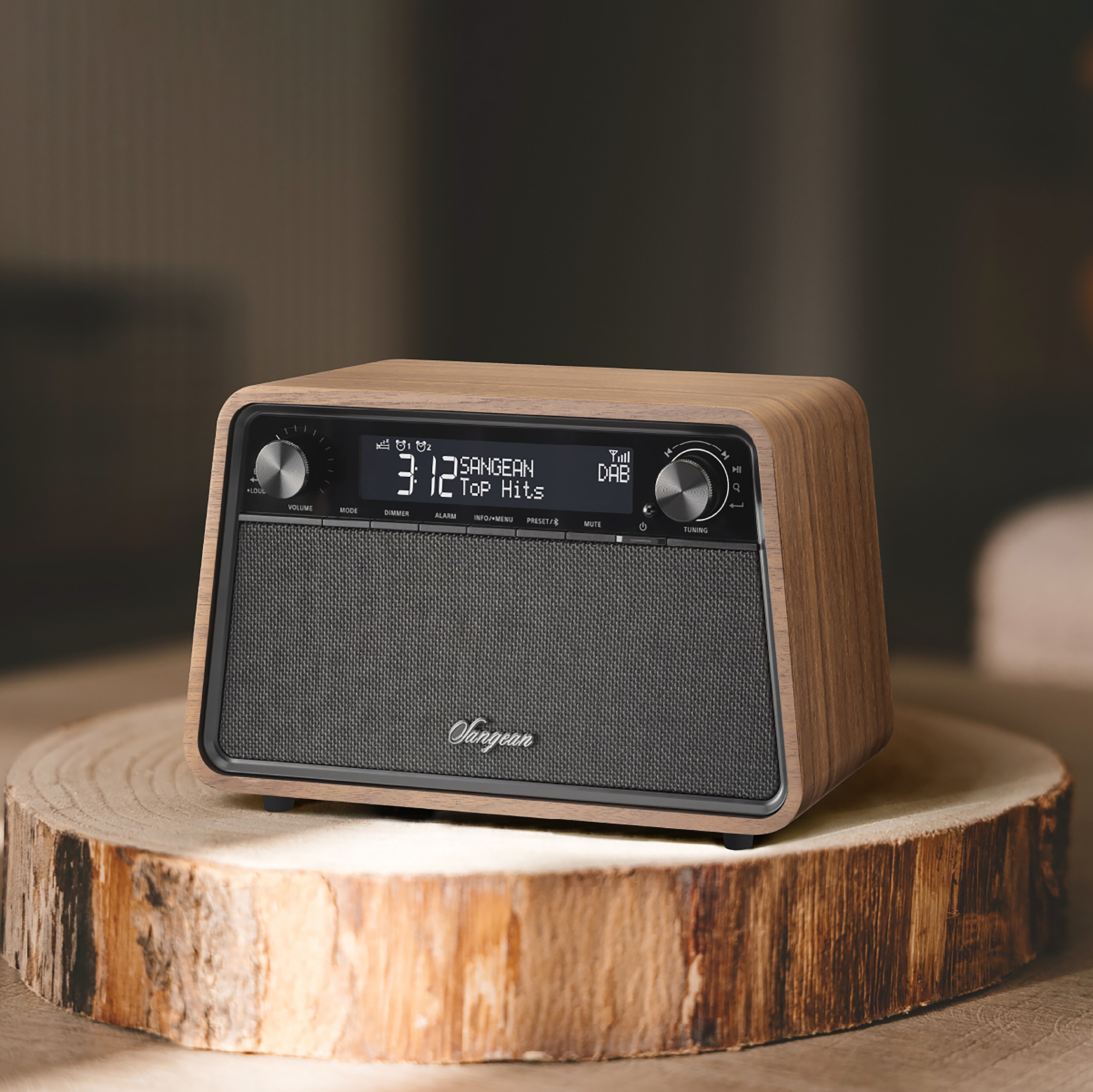 Sangean Retro-Radio »WR-201D«, (A2DP Bluetooth-AVRCP Bluetooth Digitalradio (DAB+)-FM-Tuner mit RDS), DAB+, Bluetooth, USB-C Ladeanschluss, Fernbedienung