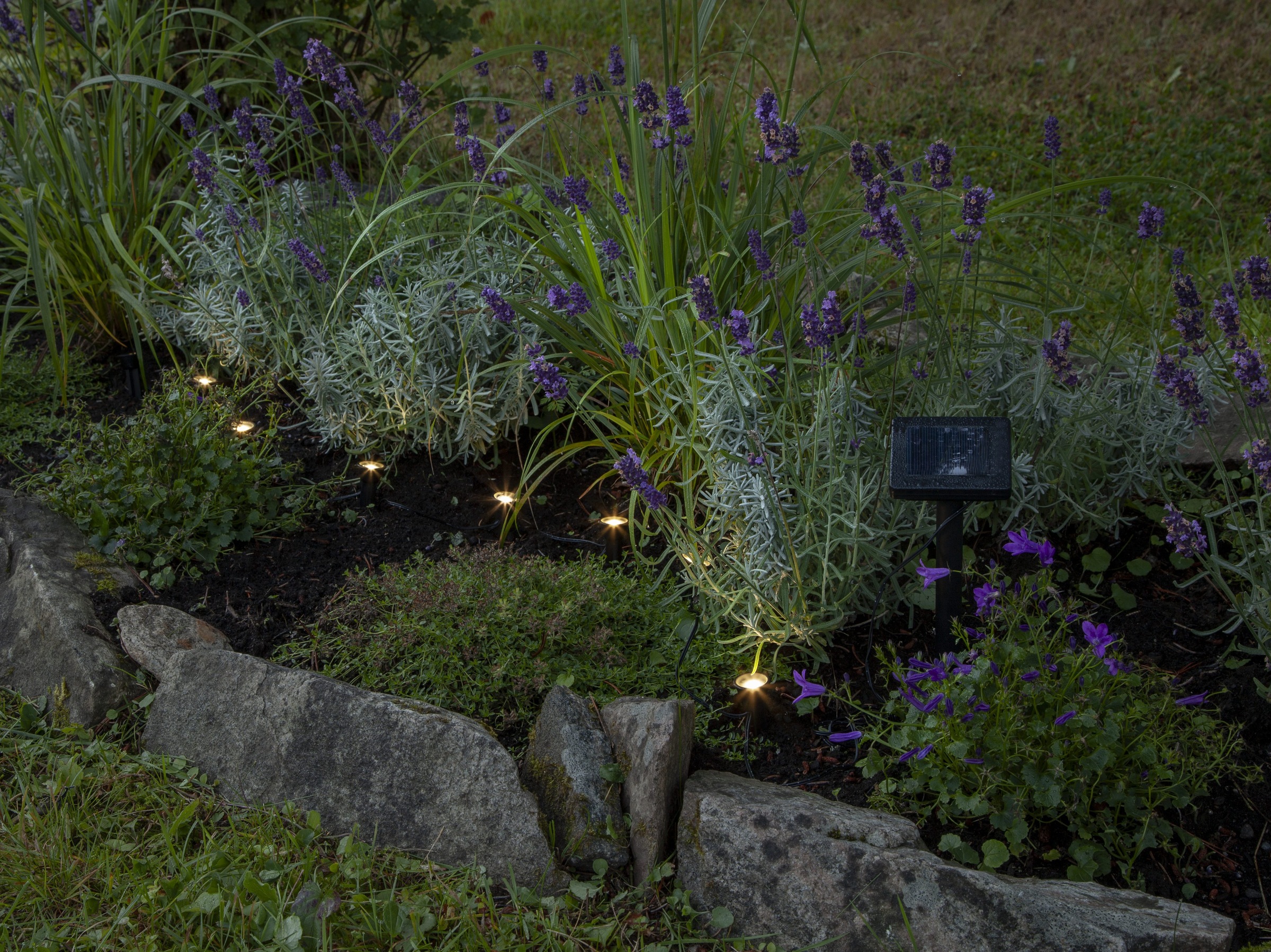 Parforce Traditional Hunting LED-Lichterkette »Mini spot - 8 L« 8 Stk.-flammig kleine Spots, ca. 210 cm Länge, Akku, outdoor,
Vierfarb-Karton