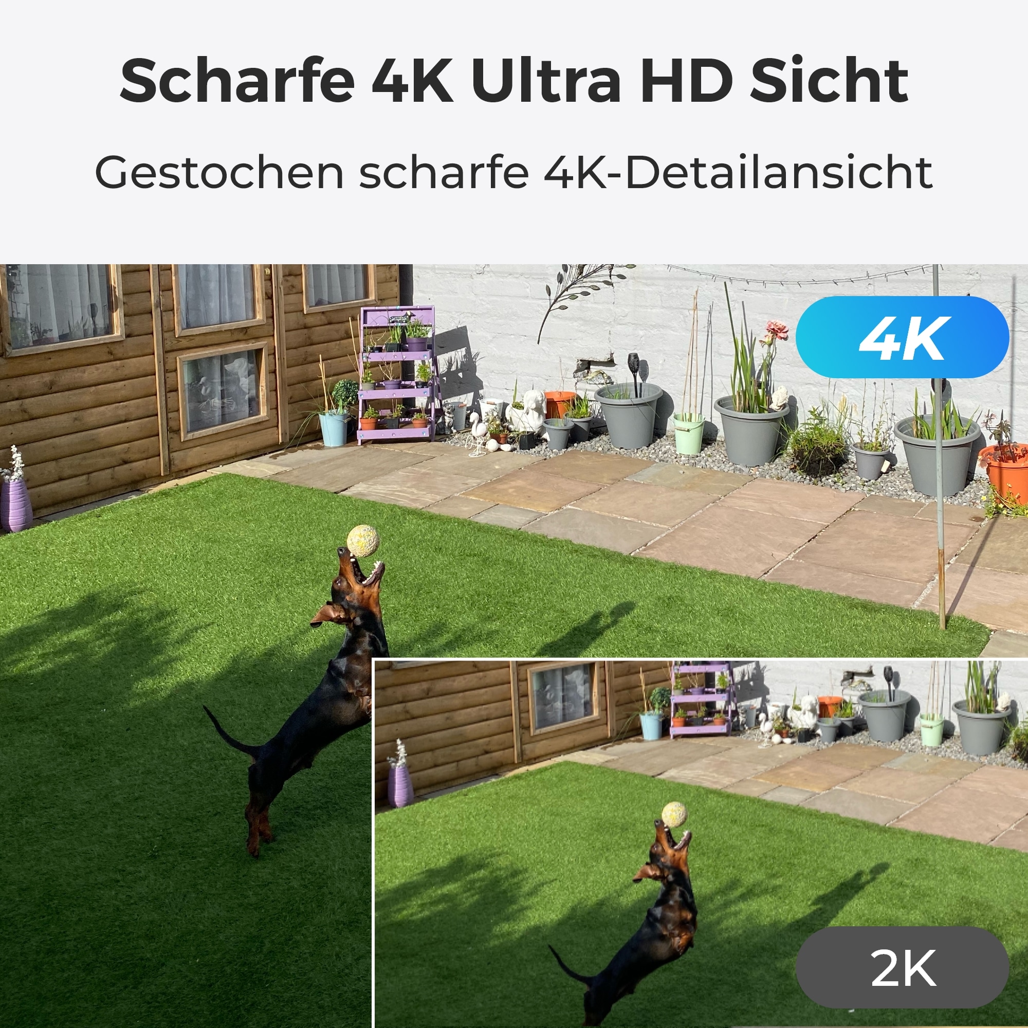 Reolink Überwachungskamera »P334«, Außenbereich-Innenbereich, 4K, Pan&Tilt, Spotlight
