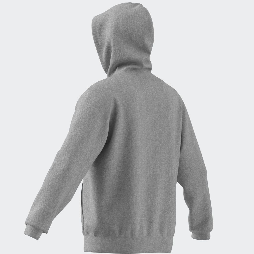 adidas Originals Kapuzensweatshirt »ESS HD«