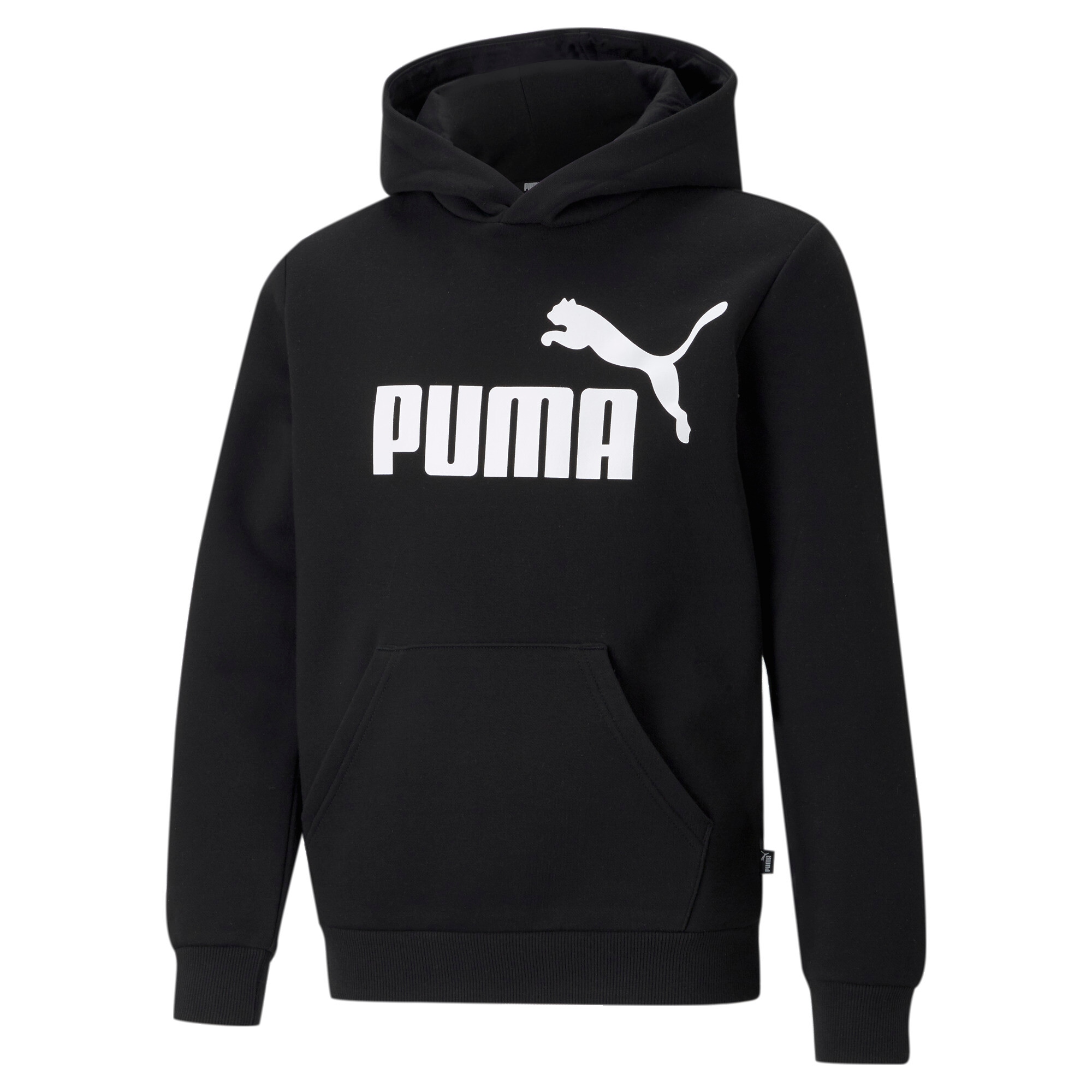 PUMA Kapuzensweatshirt »ESS BIG LOGO HOODIE FL B«