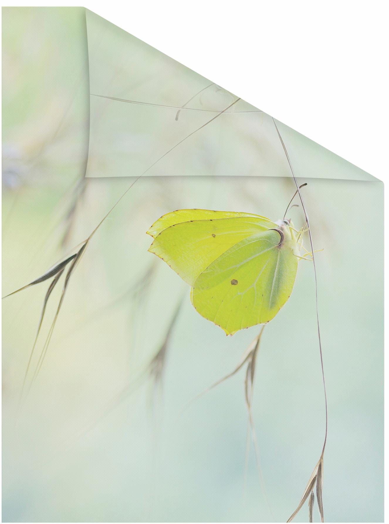 LICHTBLICK ORIGINAL Fensterfolie »Schmetterling Grün«, 1 St., blickdicht, strukturiertKlebepunkte,...