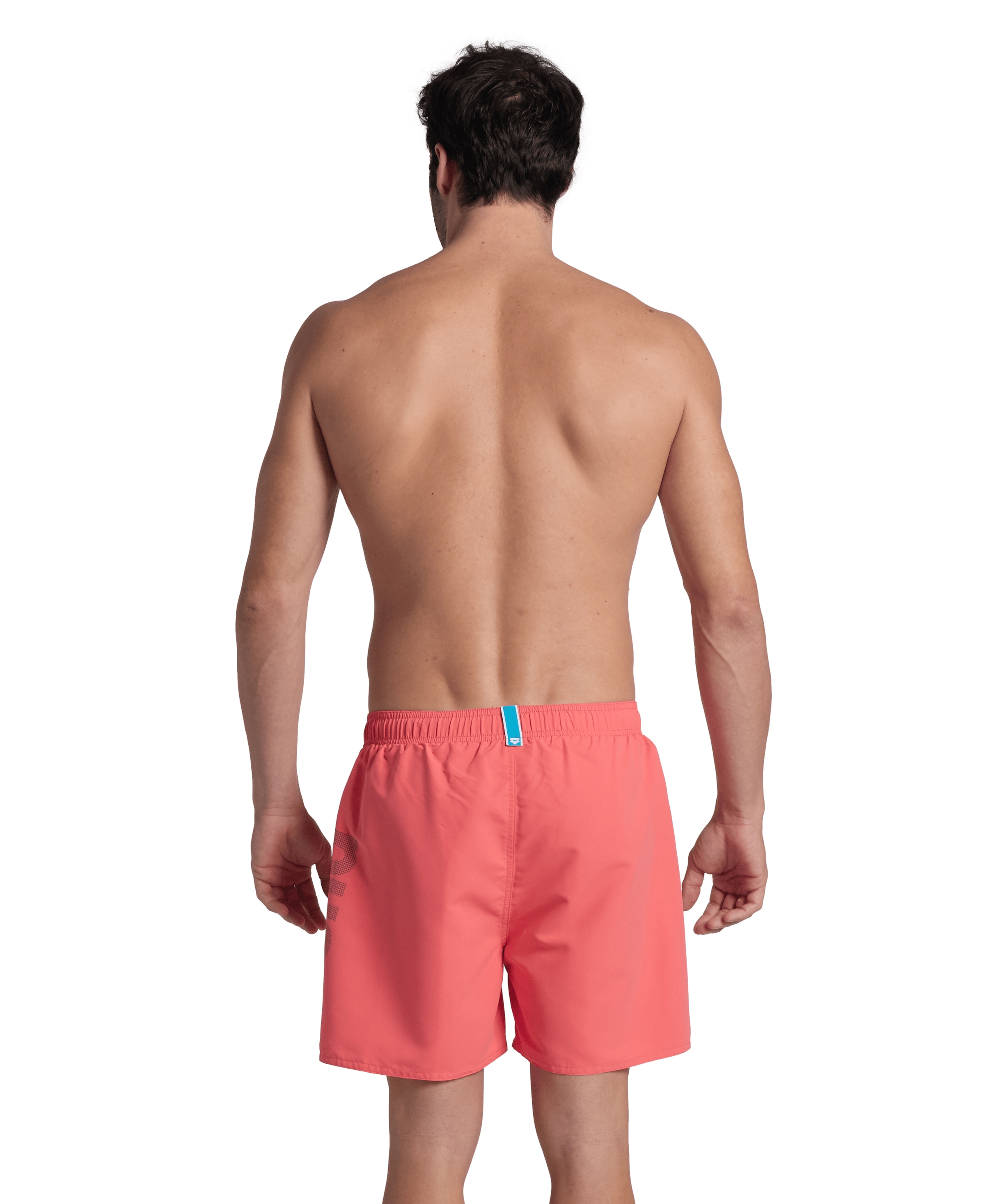 Arena Badeshorts »FUNDAMENTALS ARENA LOGO BOXER R«