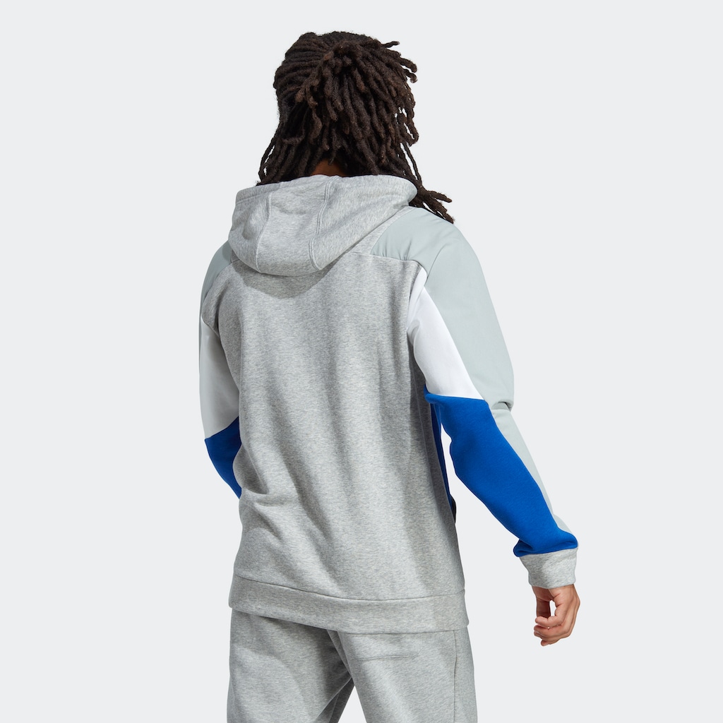 adidas Sportswear Sweatshirt »ESSENTIALS COLORBLOCK HOODIE«