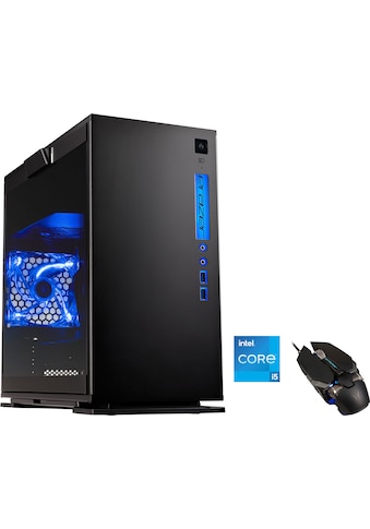 Medion® Gaming-PC »ERAZER® Engineer P10« kaufen