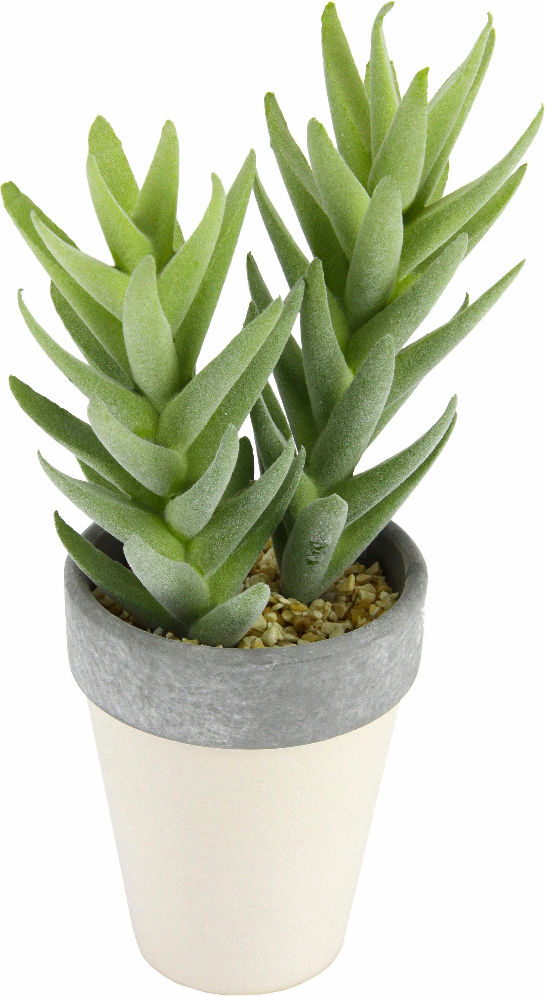 I.GE.A. Kunstpflanze »Succulente in Topf 25/11 cm«