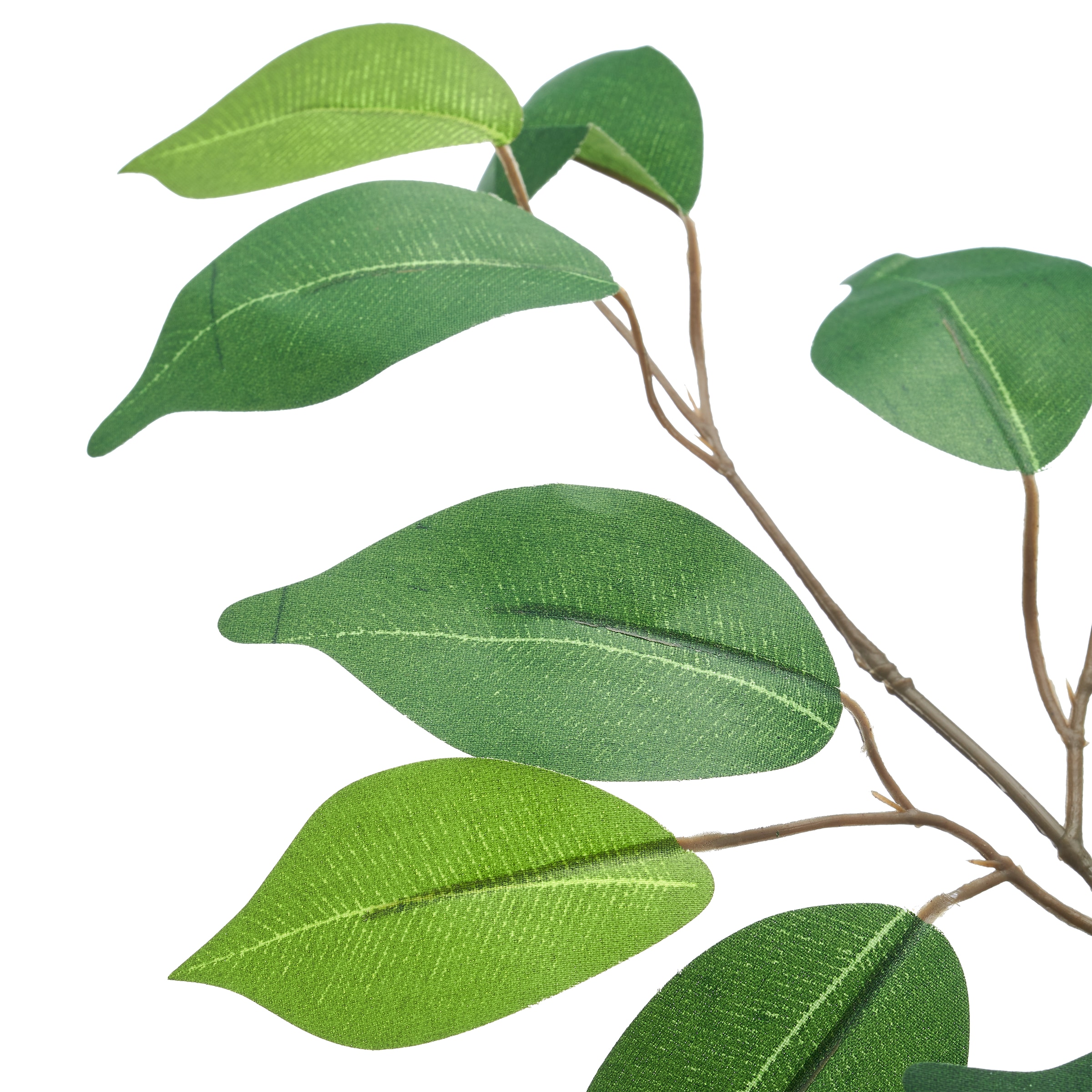 Creativ green Kunstbaum »Ficus benjamina« mit schönem Blattwerk