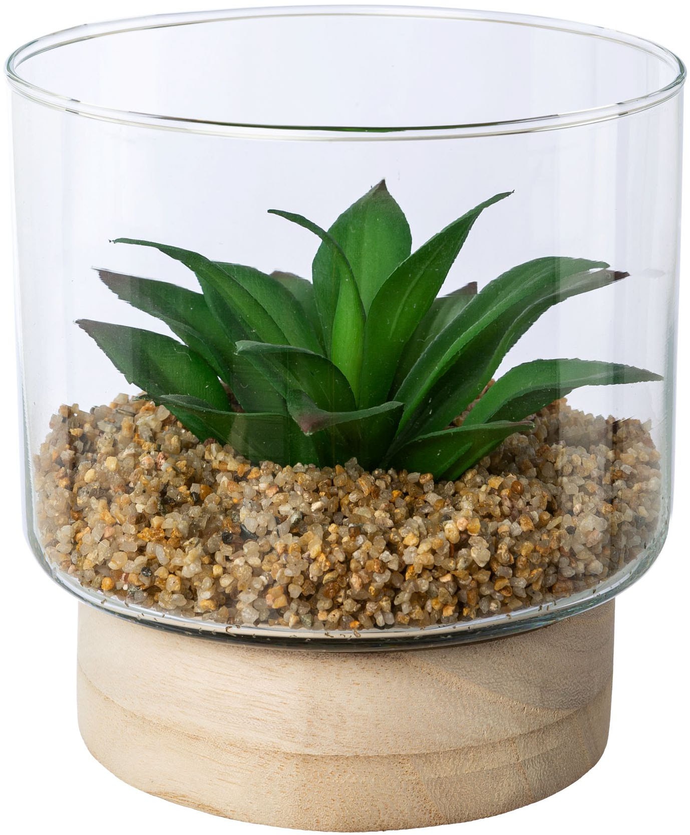 Creativ green Kunstpflanze »Sukkulenten im Glasgefäß« mit 2 verschiedenen Sukkulenten