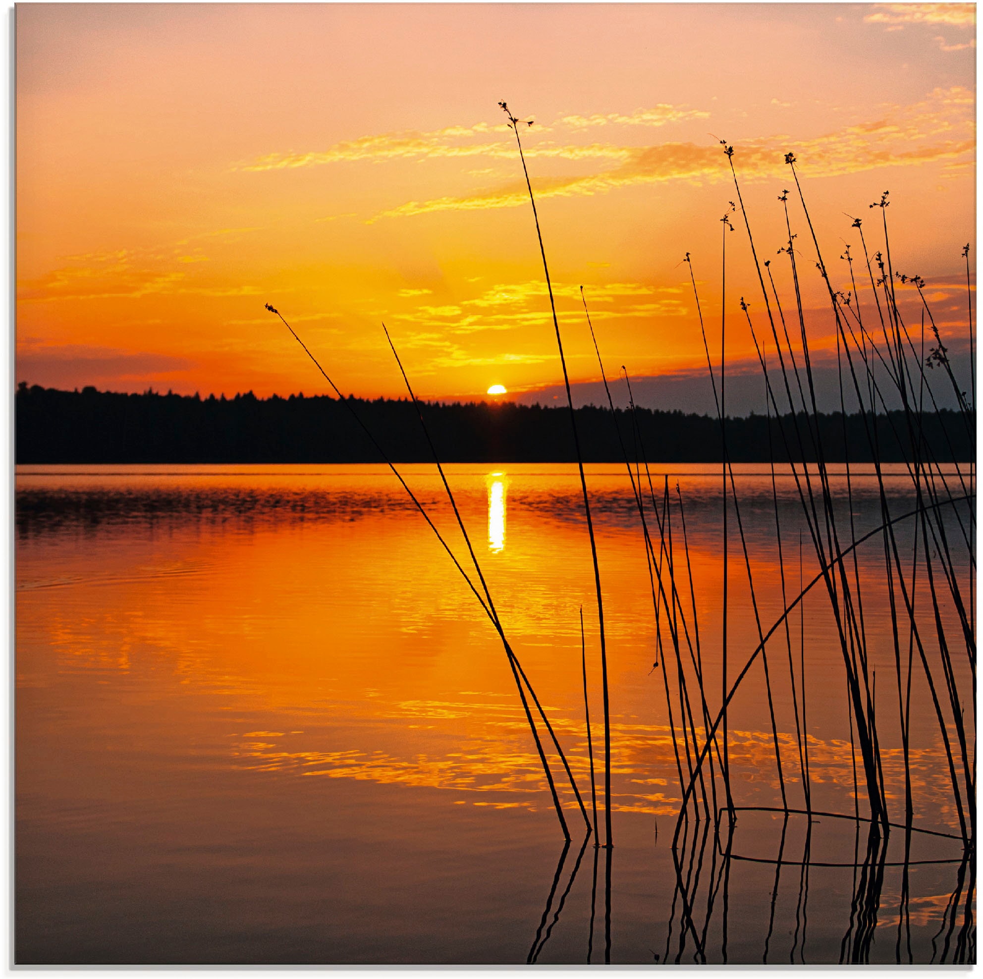 Artland Glasbild »Landschaft mit Sonnenaufgang« Sonnenaufgang & -untergang 1 Stk. tlg. in verschiedenen Größen