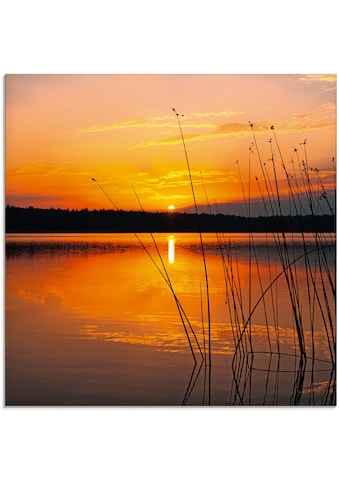 Artland Glasbild »Landschaft mit Sonnenaufgang«, Sonnenaufgang & -untergang, (1 St.) kaufen