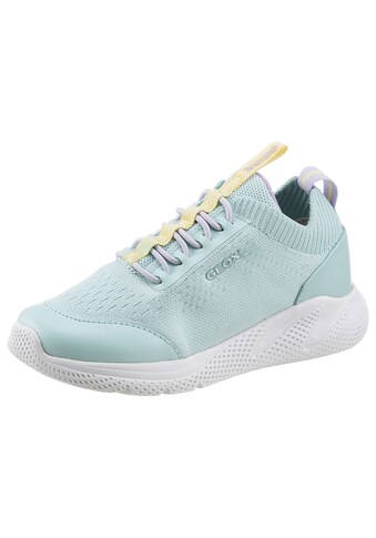 Geox Sneaker »J SPRINTYE GIRL«, mit Gummizug kaufen