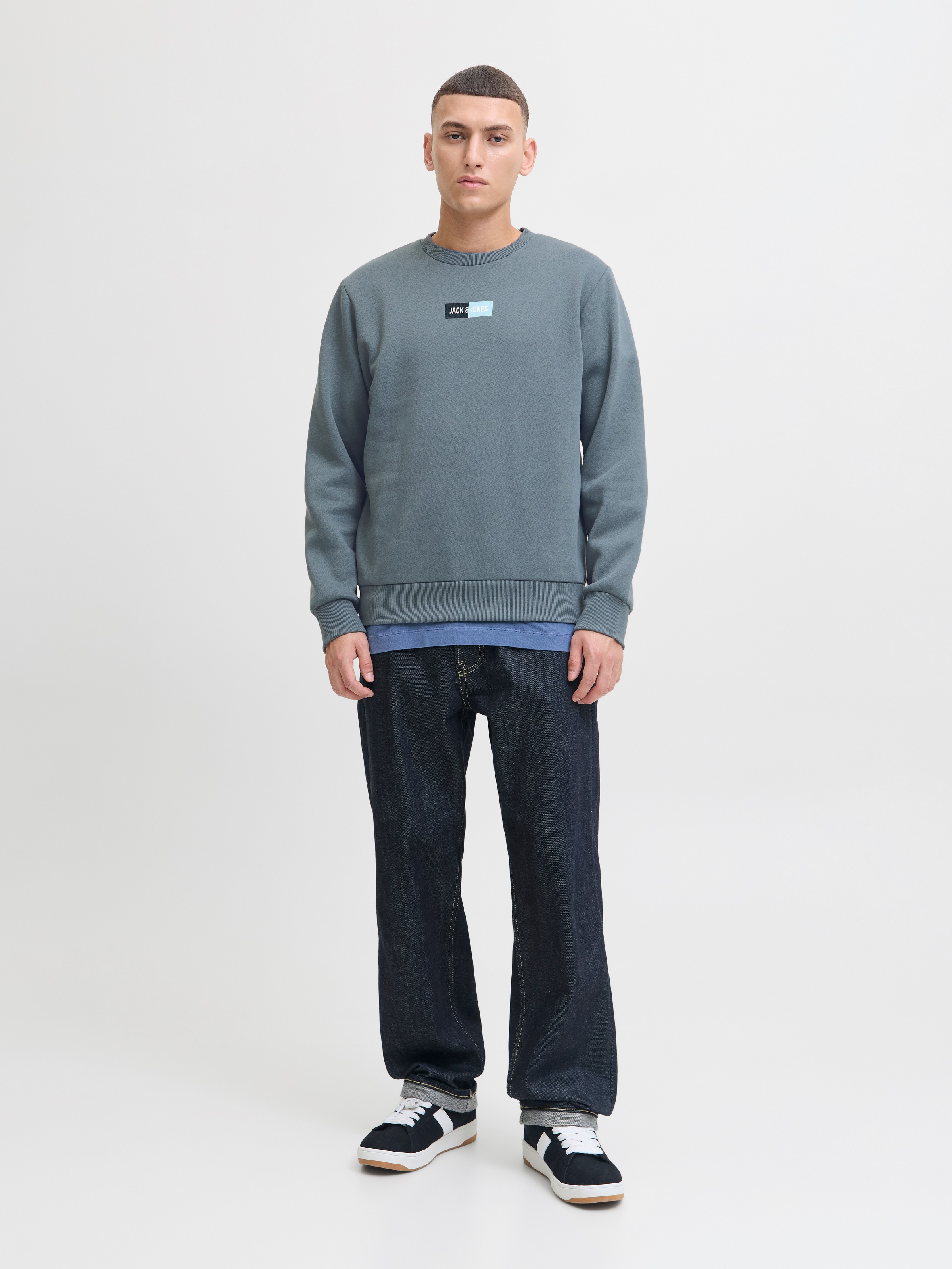 Jack & Jones Sweater »JJPAN SWEAT CREW NECK«