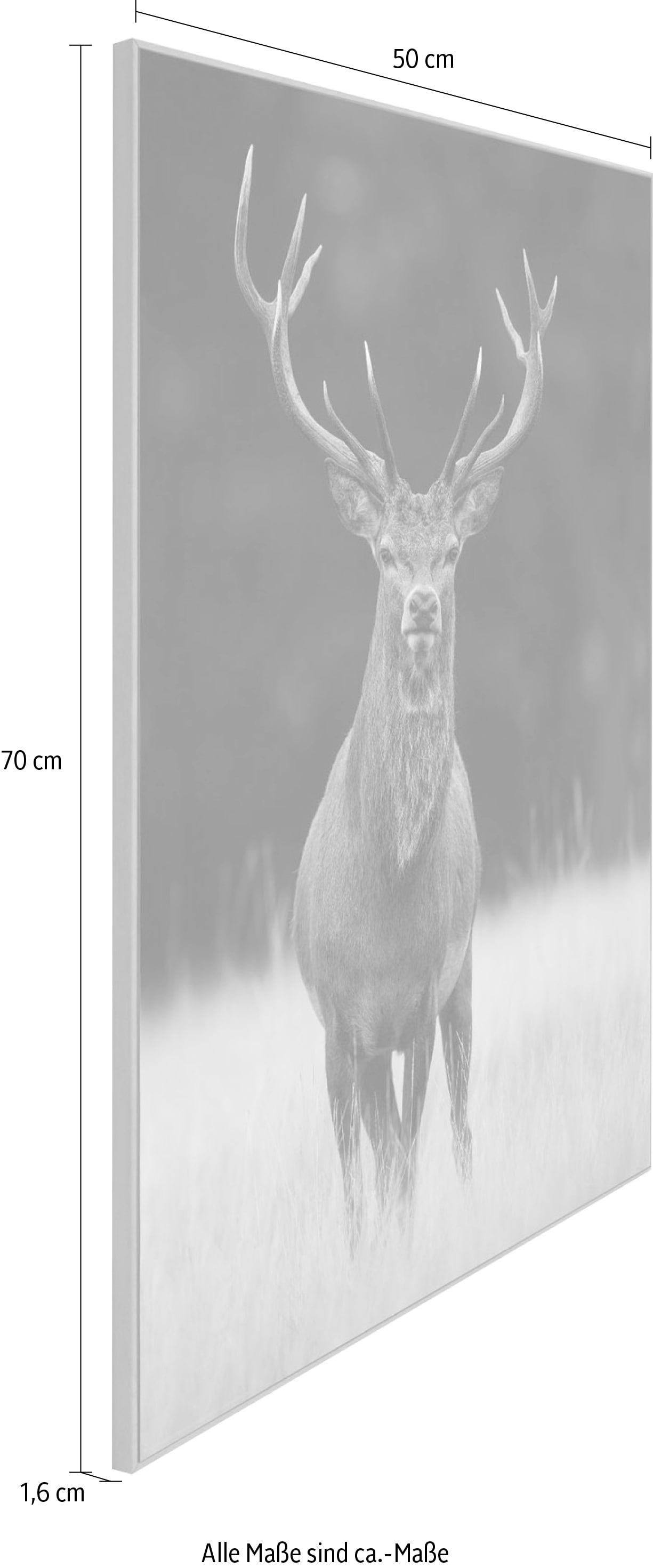Reinders! Wandbild »Slim Frame Wood 50x70 Deer«