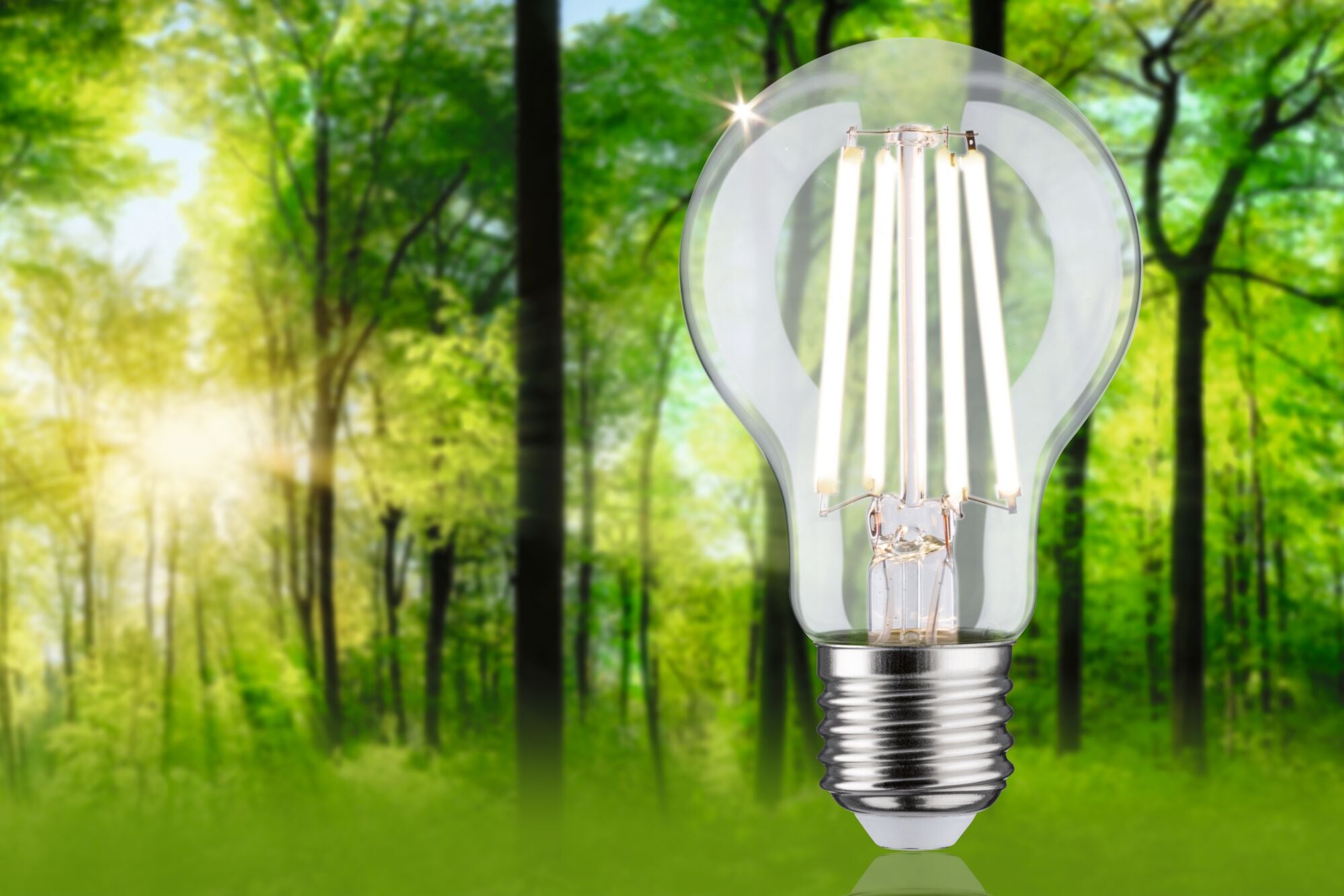 Paulmann LED-Leuchtmittel »Eco-Line AGL 840lm 4,5W 4000K dim klar 230V« E27 1 Stk. Neutralweiß