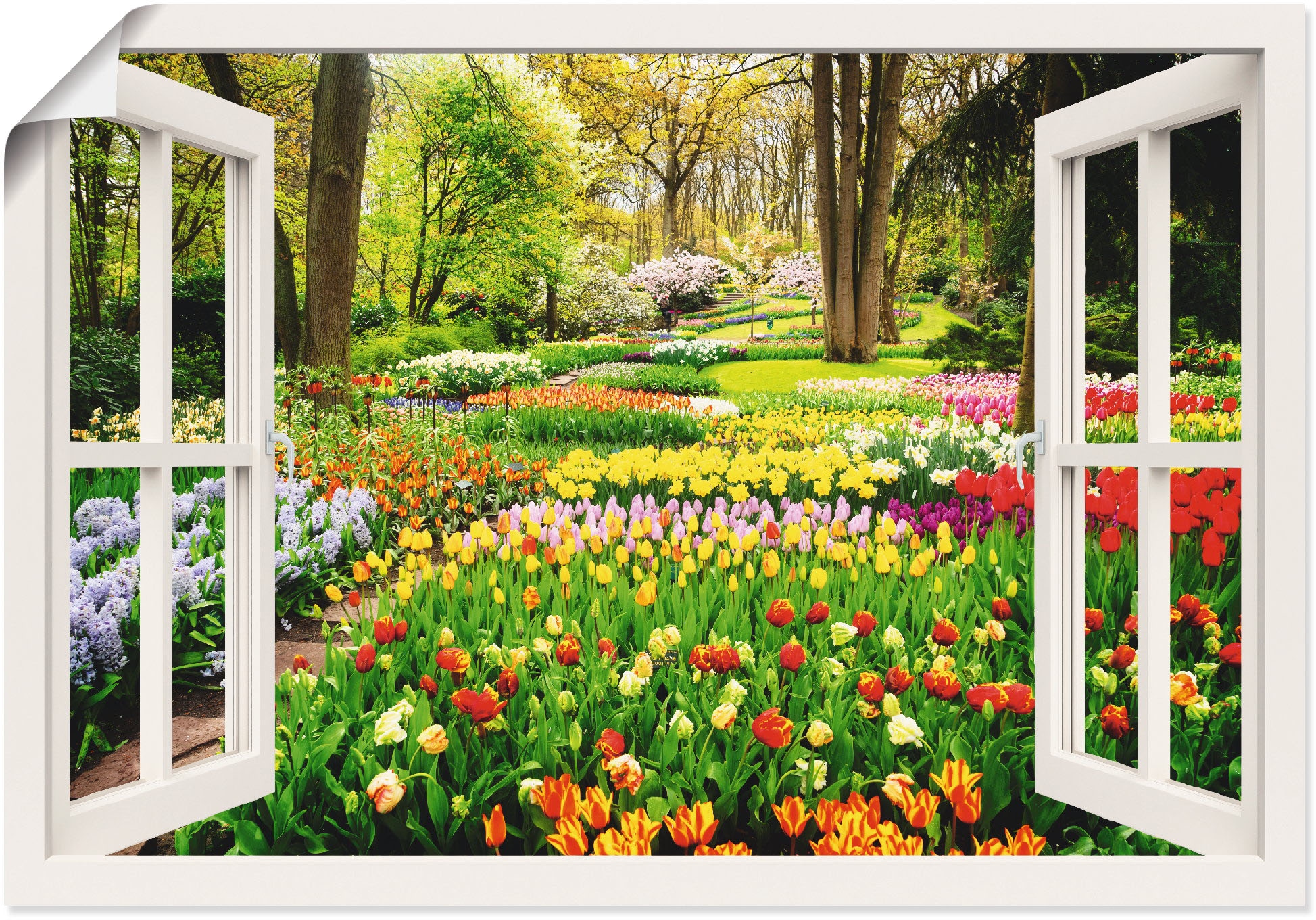 Wandbild »Fensterblick Tulpen Garten Frühling«, Fensterblick, (1 St.), als Alubild,...