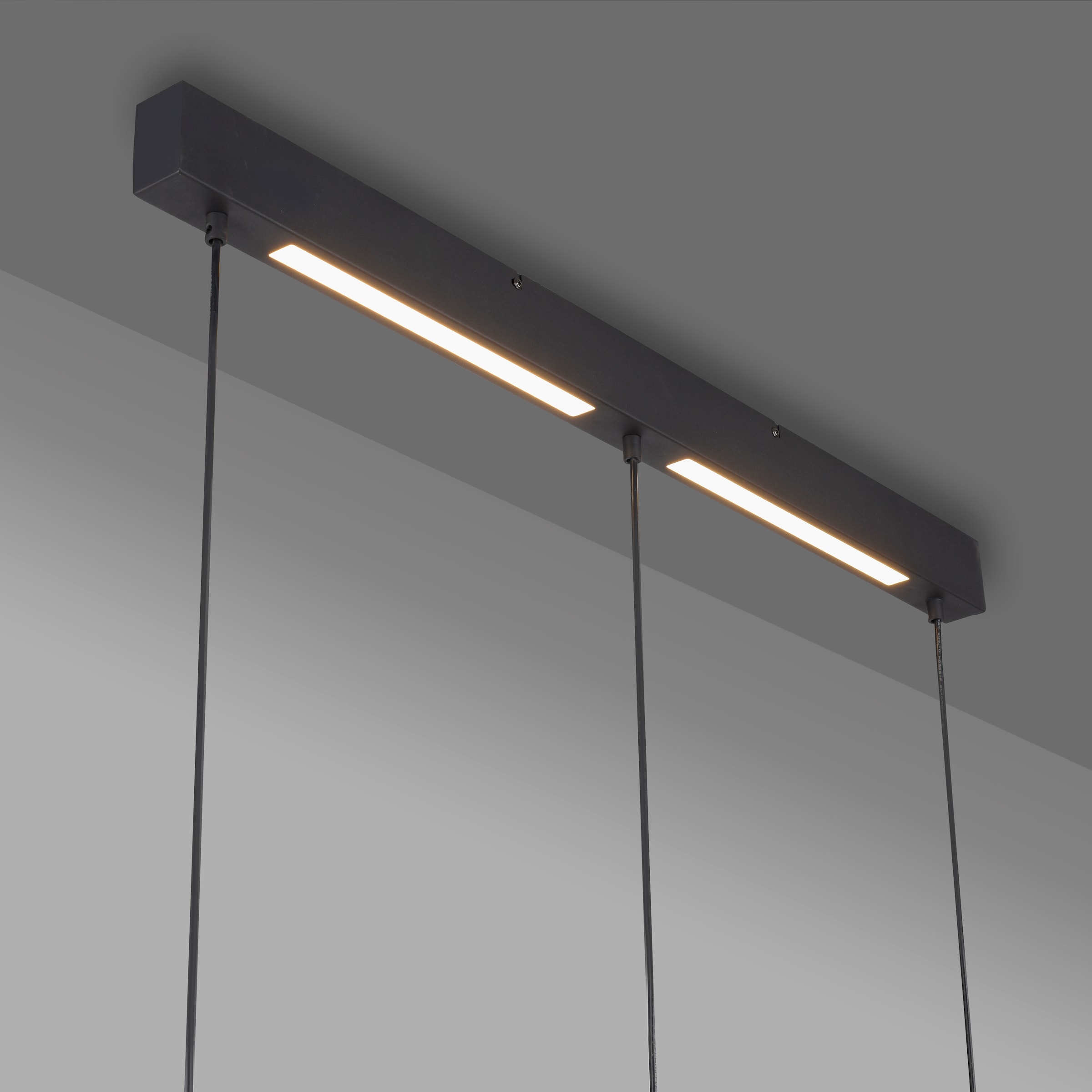 SCHÖNER WOHNEN-Kollektion LED Pendelleuchte »DANTE« GU10 1 Stk. SCHÖNER WOHNEN Kollektion, Downlight