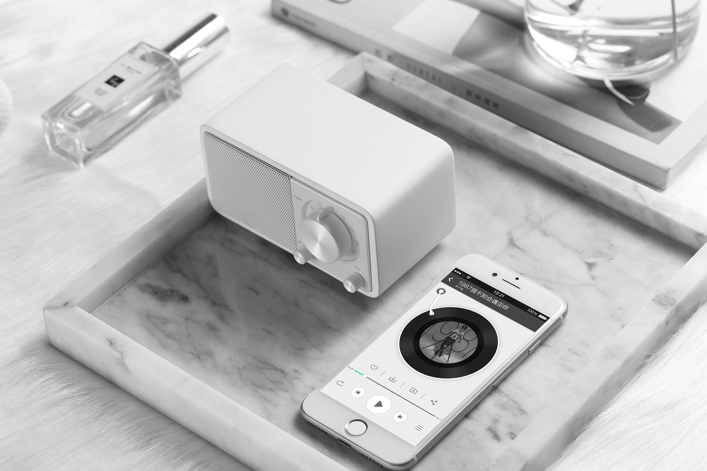 Sangean Radio »Genuine Mini WR-7« (Bluetooth FM-Tuner )