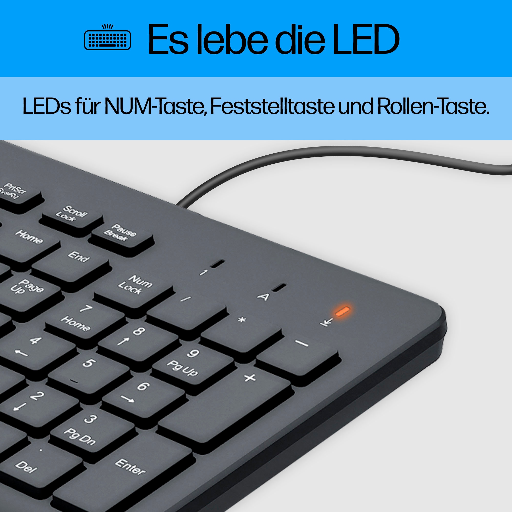 HP PC-Tastatur »150« (Fn-Tasten | Multimedia-Tasten | Ziffernblock)