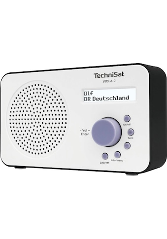 TechniSat Digitalradio (DAB+) »VIOLA 2 Tragbares«, (Digitalradio (DAB+)-UKW mit RDS),... kaufen