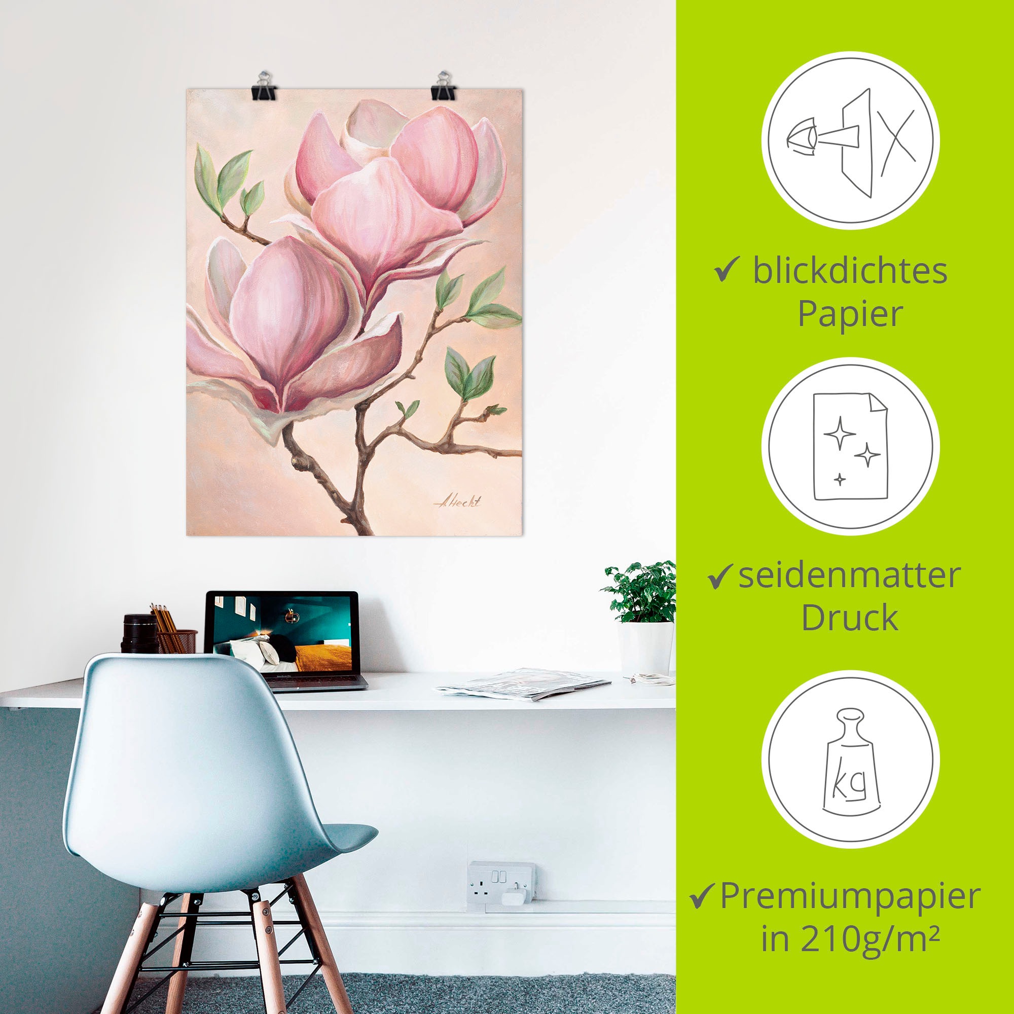 Artland Wandbild »Magnolienblüten«, Blumen, (1 St.), als Leinwandbild, Poster in verschied. Größen