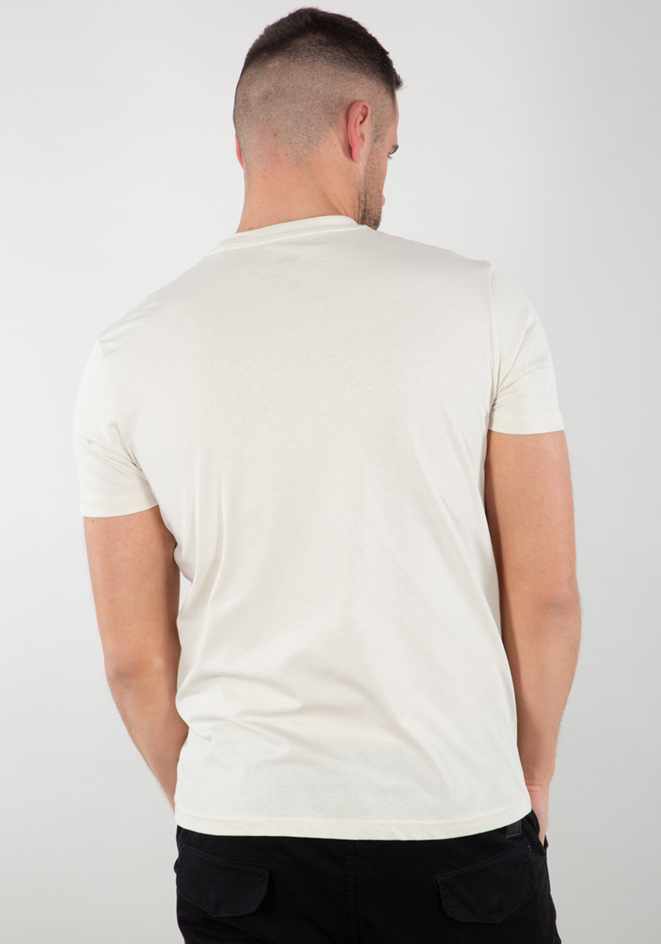 Alpha Industries T-Shirt »Basic T-Shirt BL«