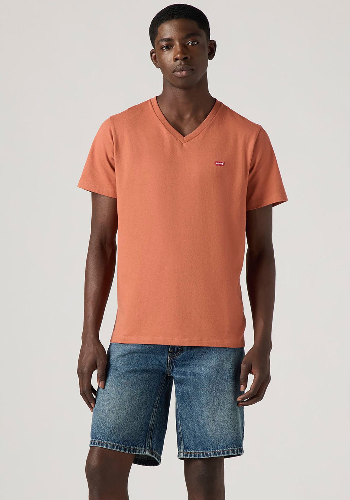 Levi's® V-Shirt »LE ORIGINAL HM VNECK«, mit Logostickerei