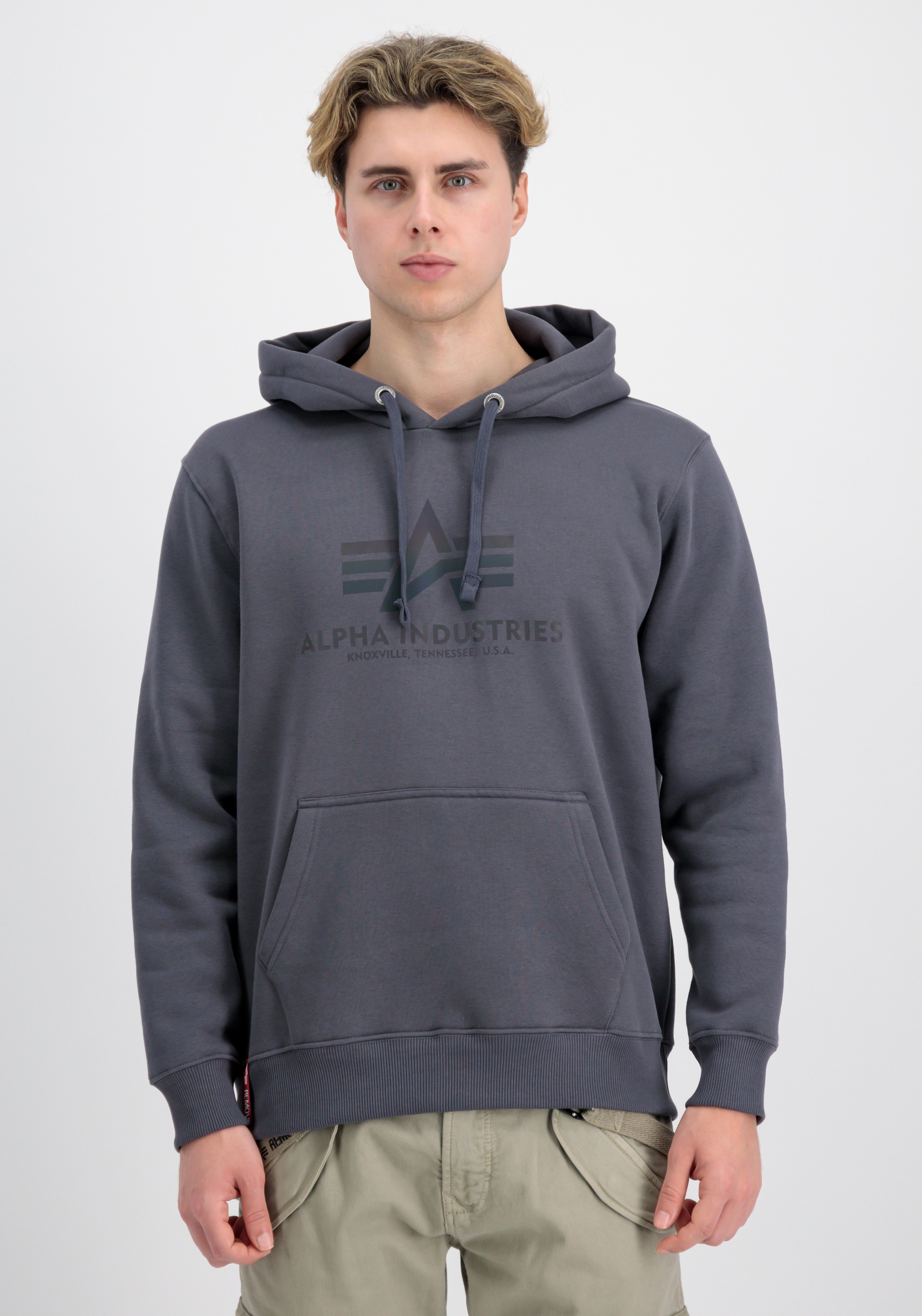 Alpha Industries Hoodie »Basic Hoodie BL Rainbow Refl. Print Kapuzensweatshirt«